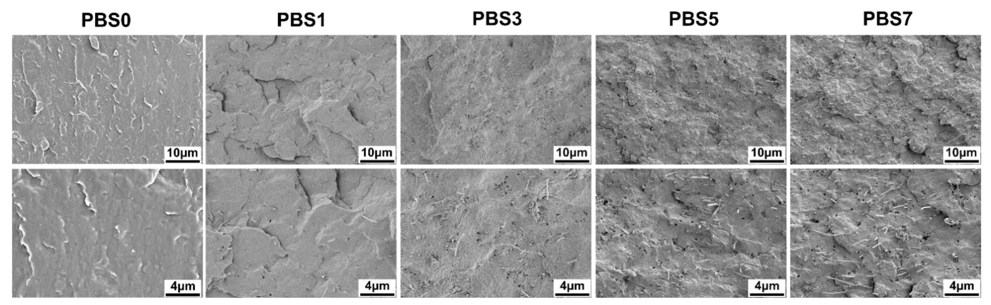 Polymers 16 00028 g002 Polymers 16 00028 g002