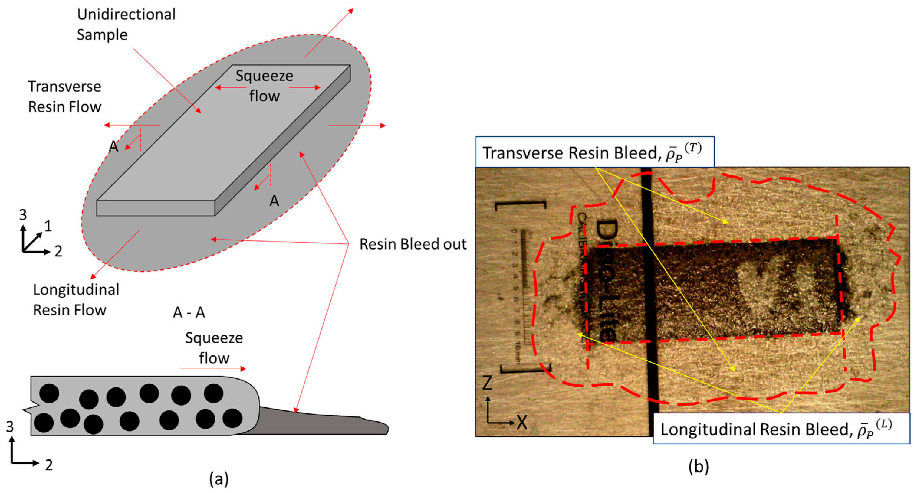 Polymers 16 00031 g002