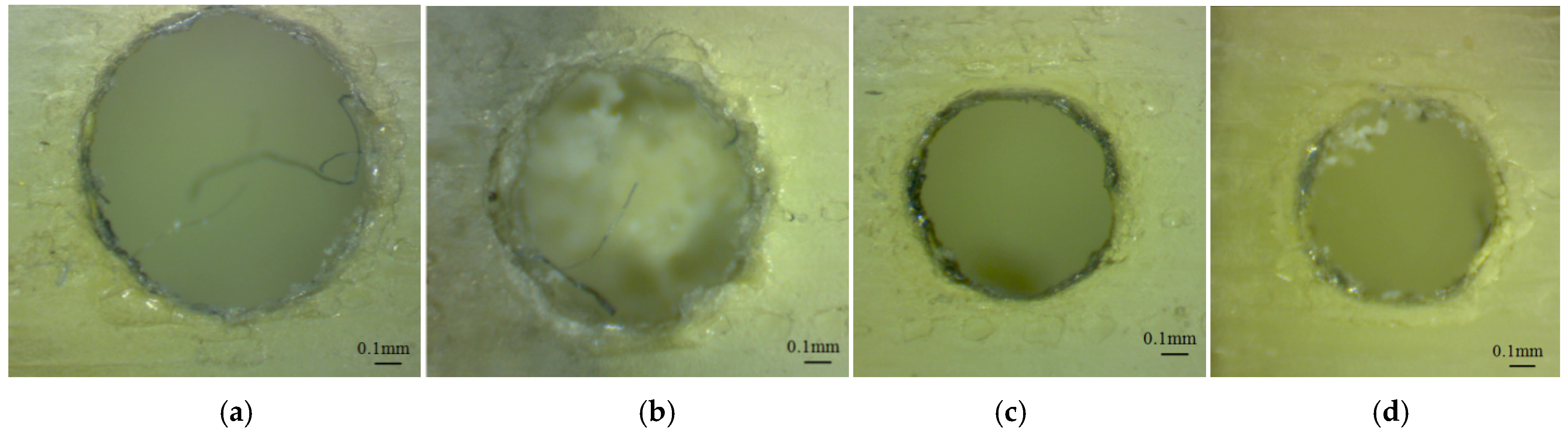 Polymers 16 00032 g010a