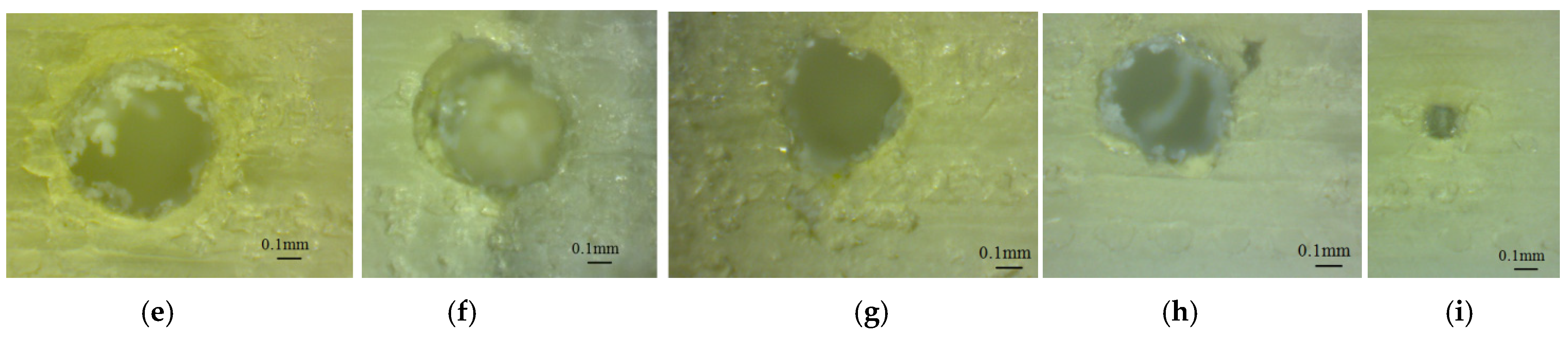 Polymers 16 00032 g010b