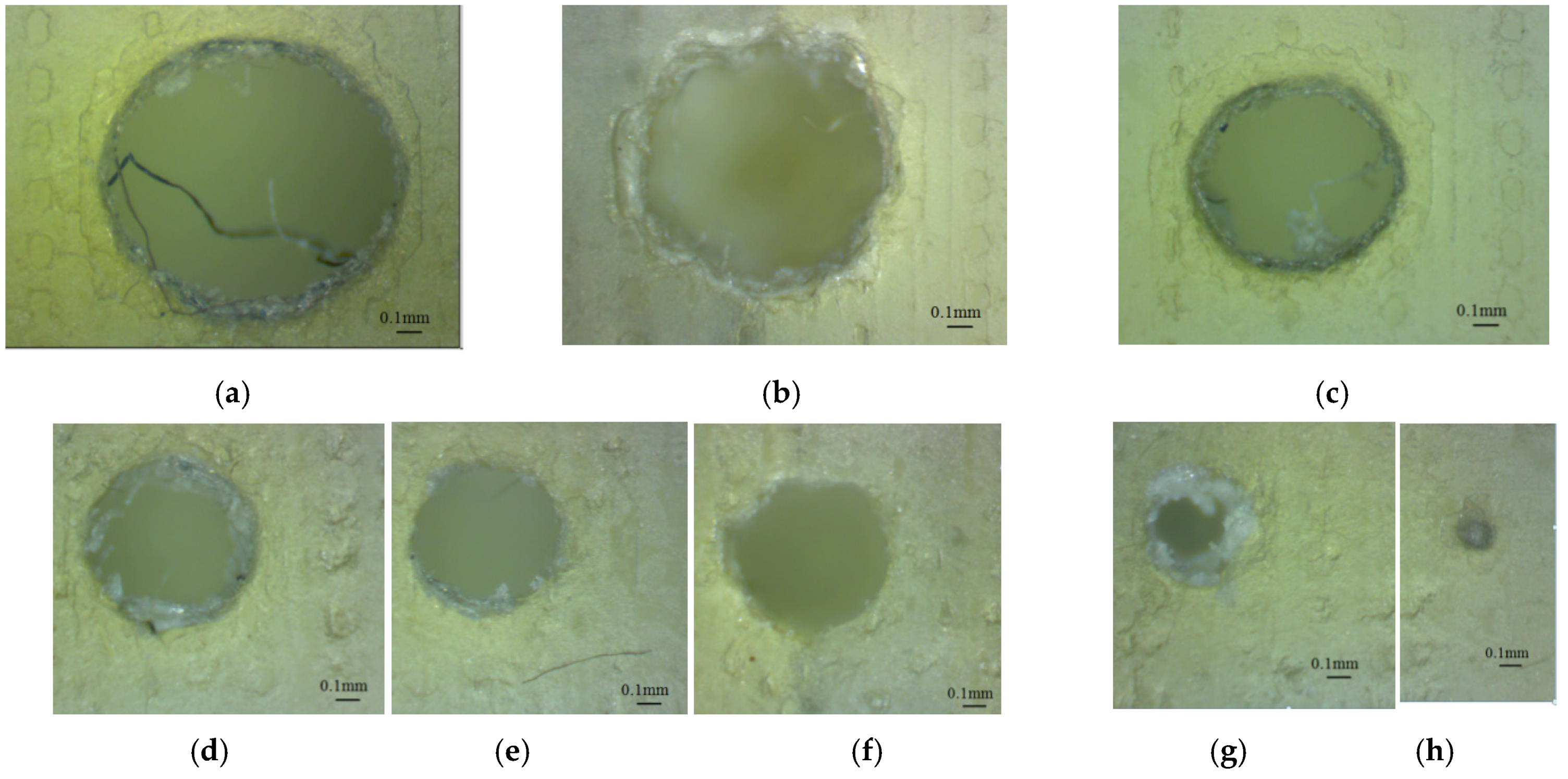 Polymers 16 00032 g011