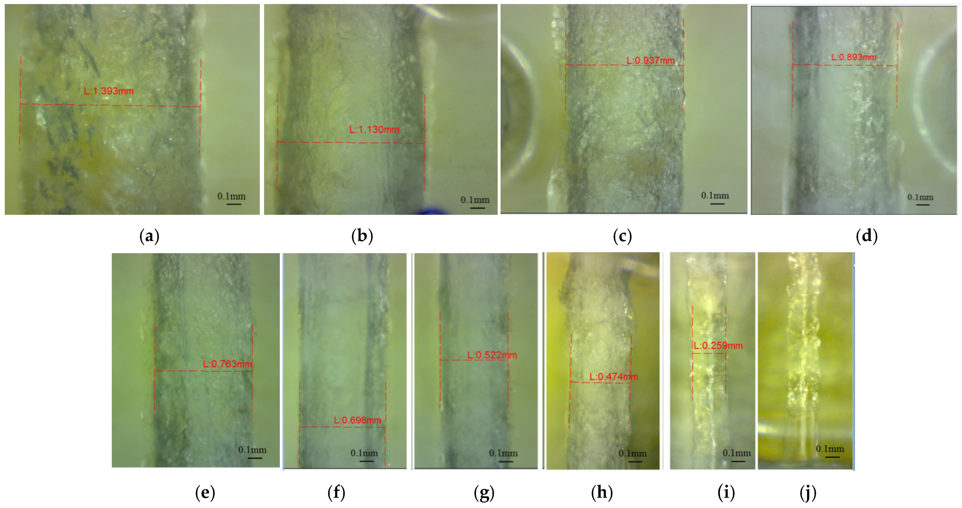 Polymers 16 00032 g012