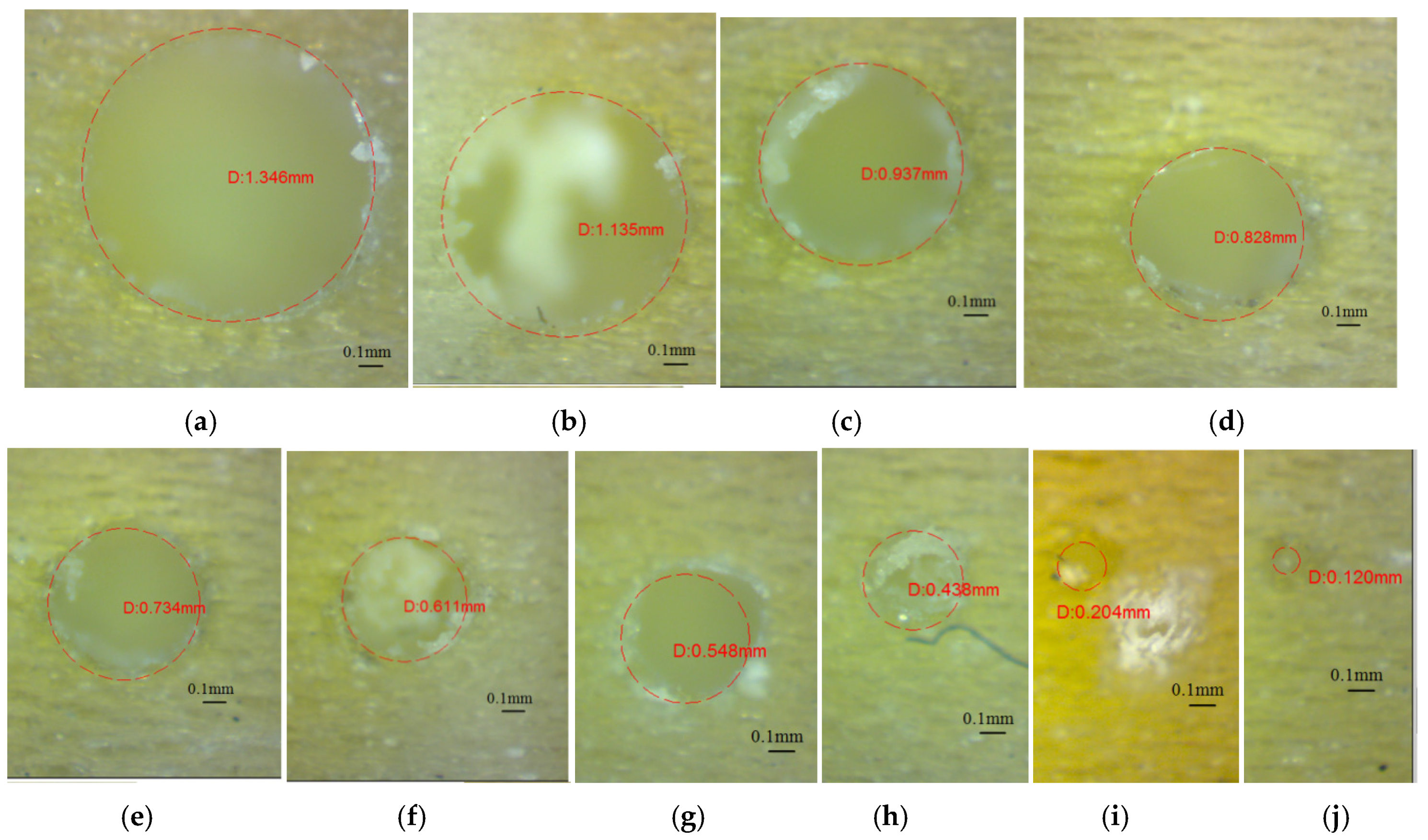 Polymers 16 00032 g013