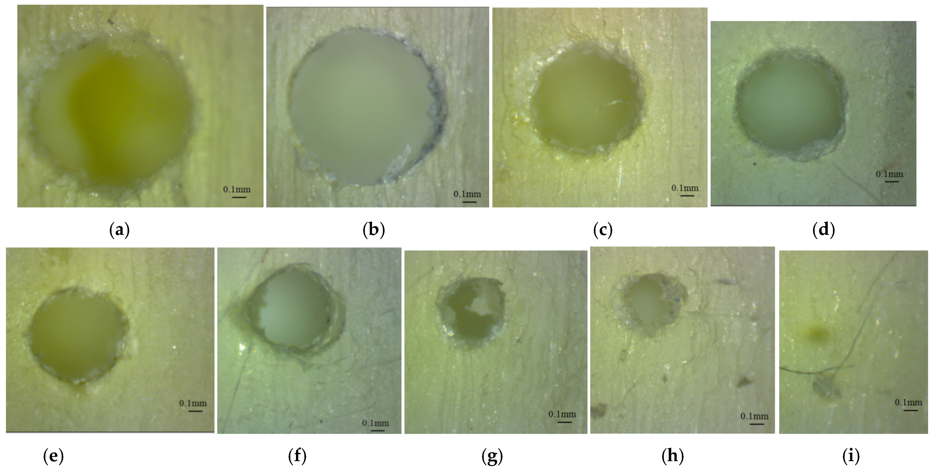 Polymers 16 00032 g014