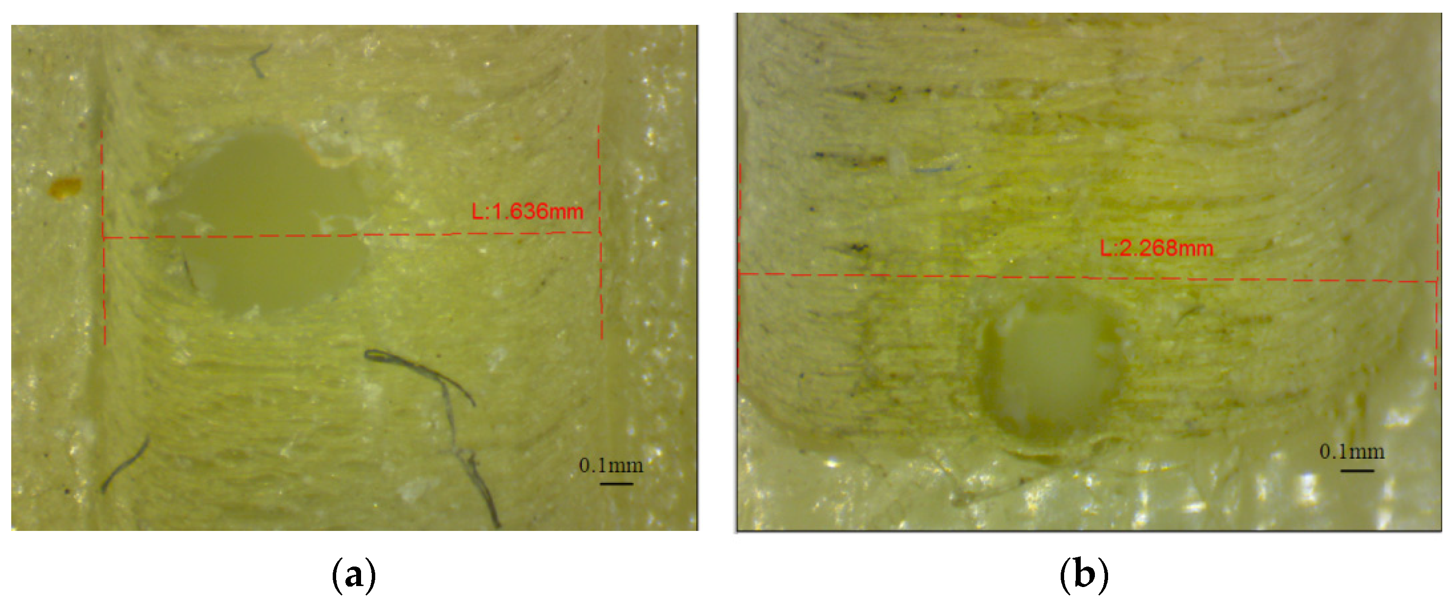 Polymers 16 00032 g015