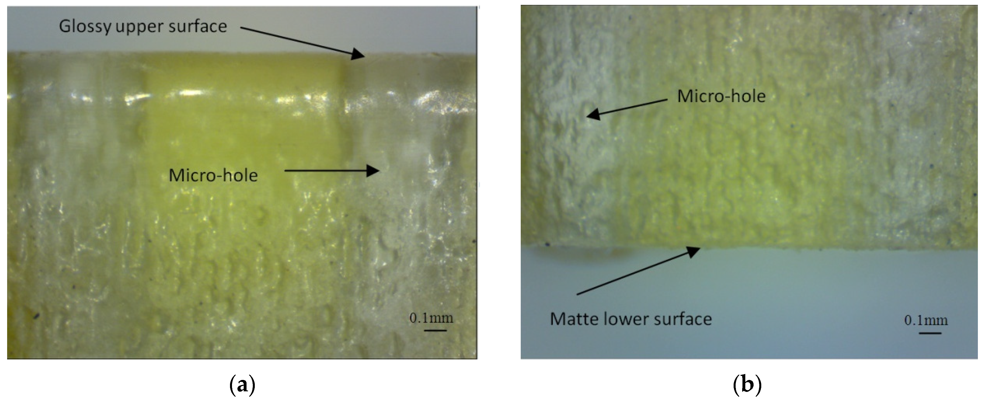 Polymers 16 00032 g017