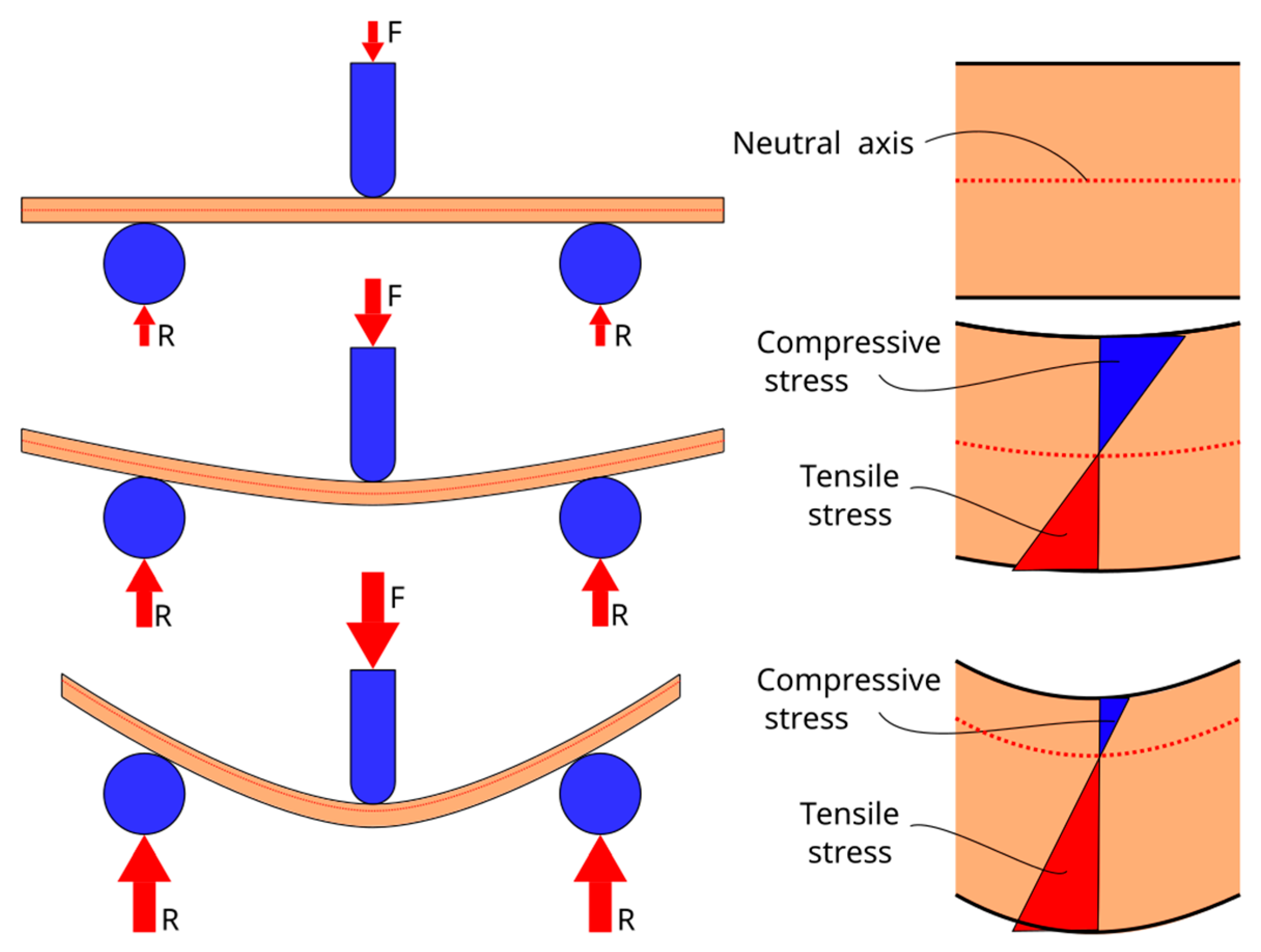 Polymers 16 00037 g001