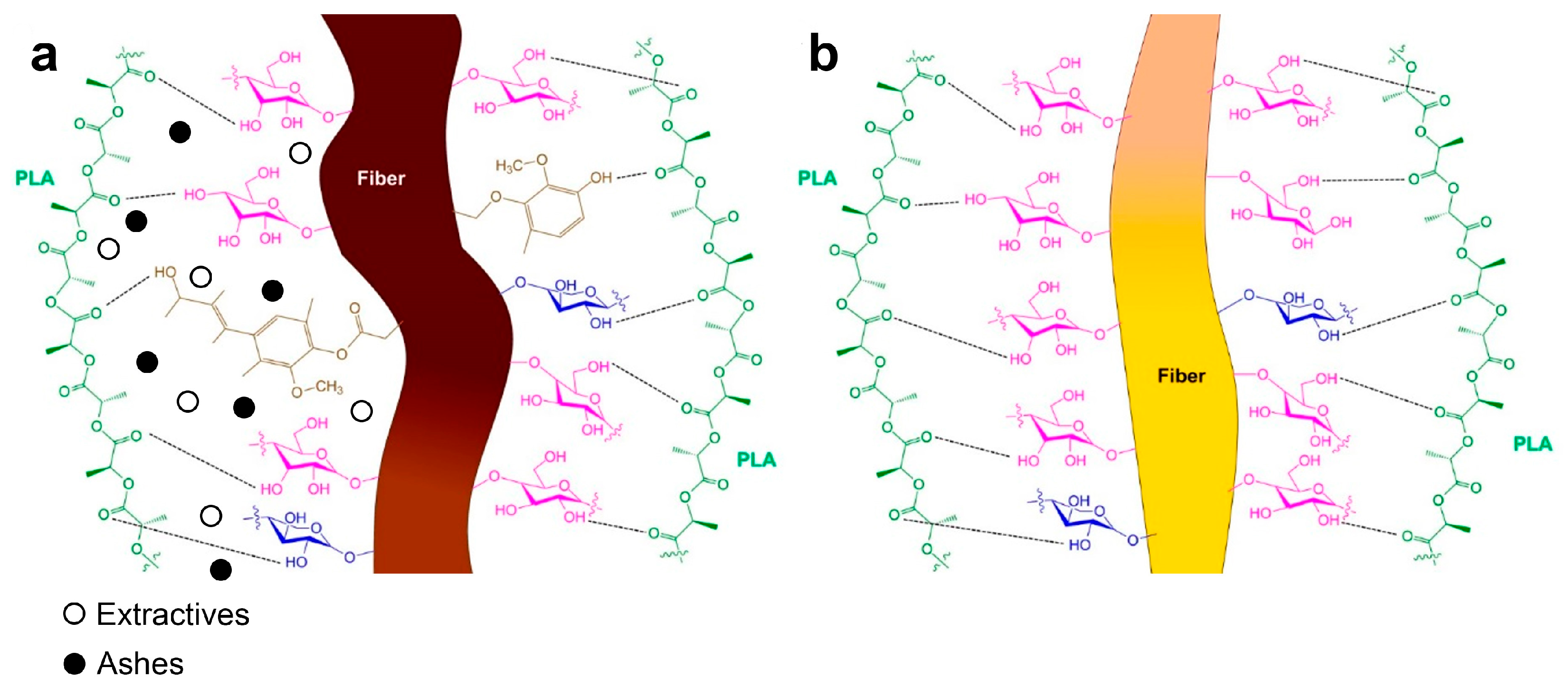 Polymers 16 00037 g003
