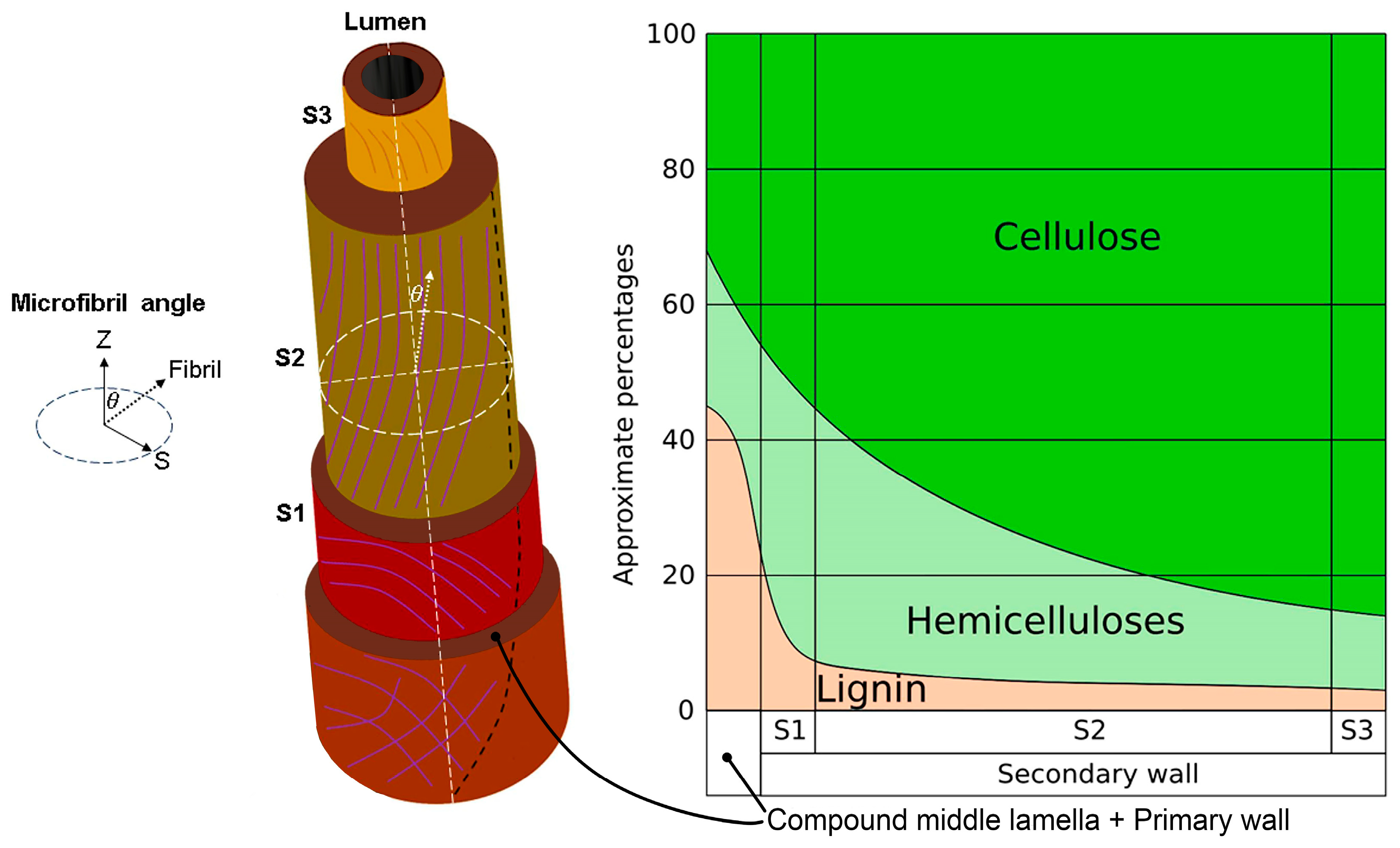 Polymers 16 00037 g005