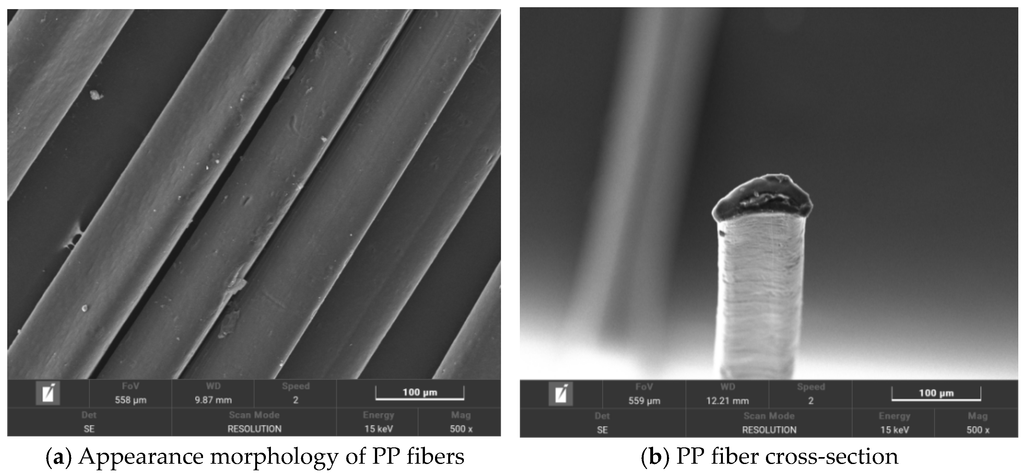 Polymers 16 00041 g001
