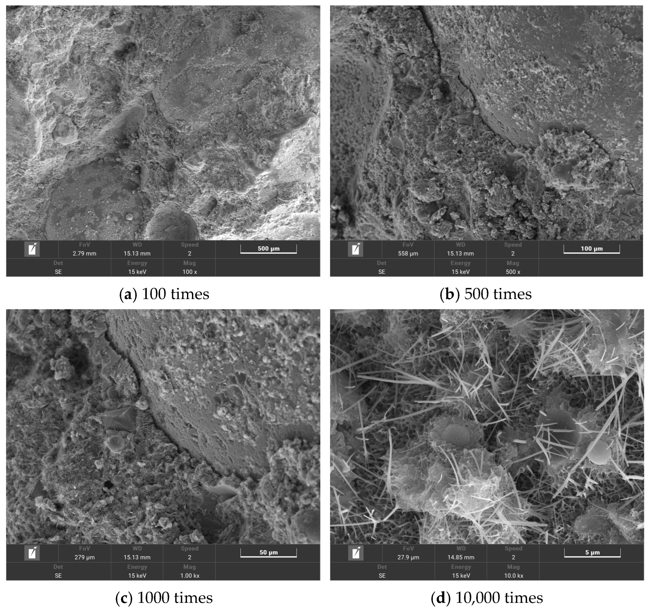 Polymers 16 00041 g012