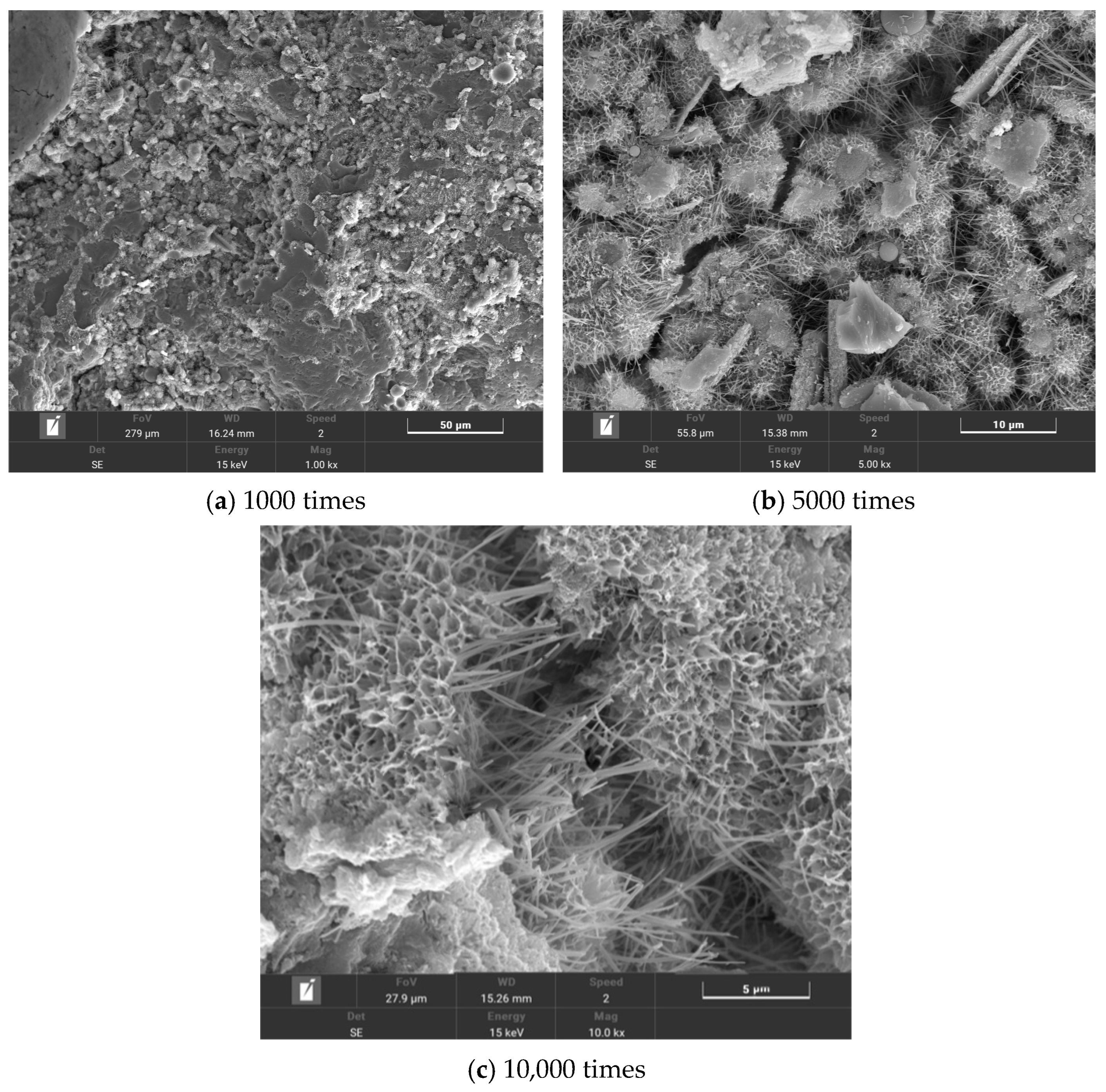 Polymers 16 00041 g013