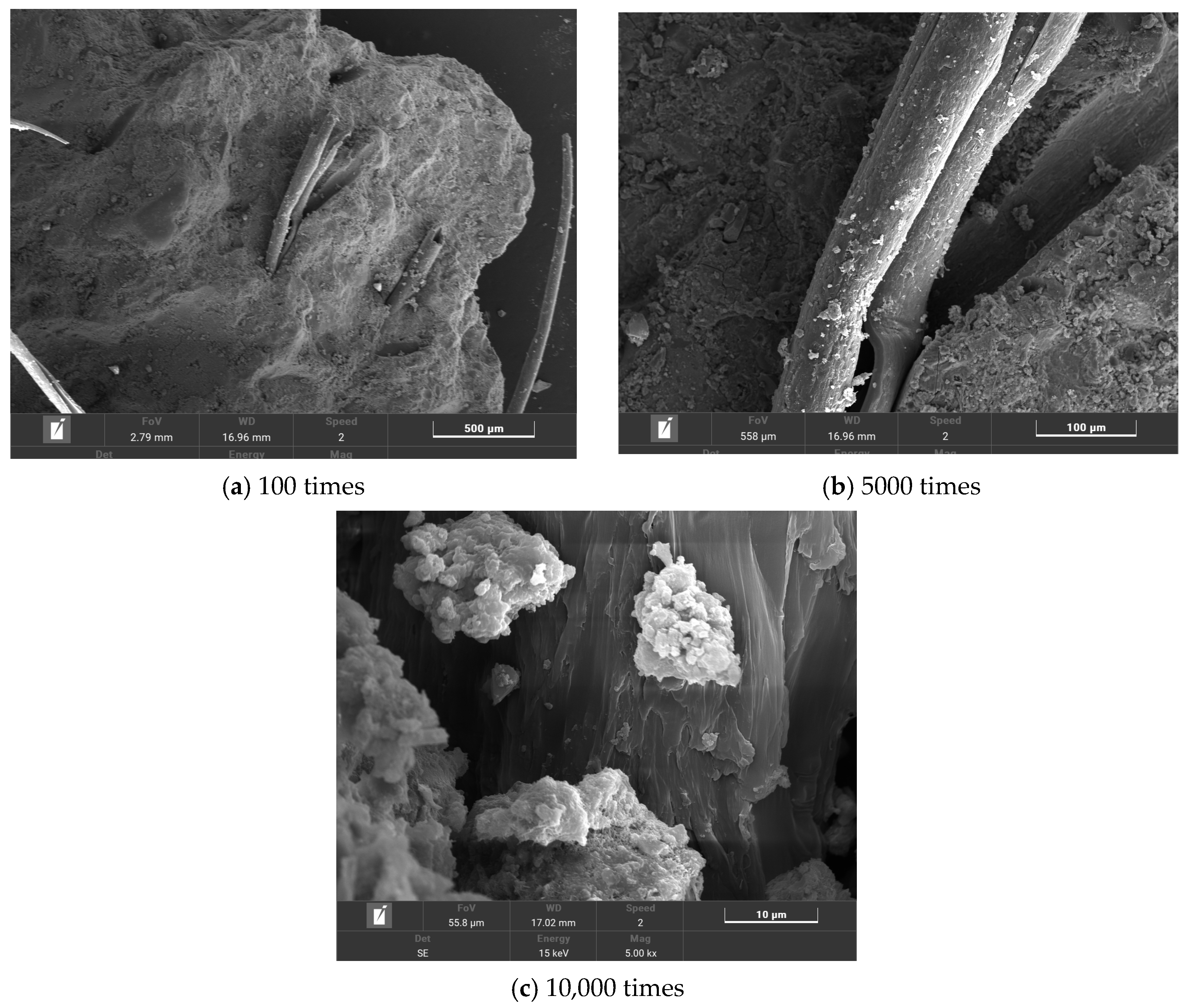Polymers 16 00041 g014