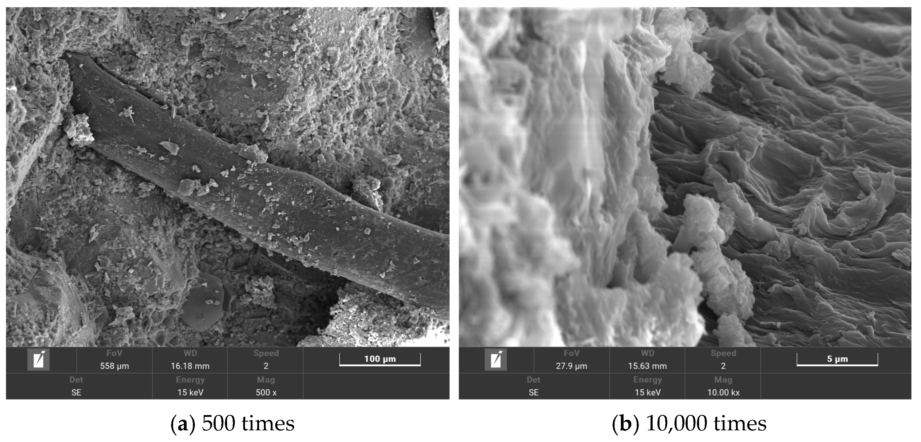 Polymers 16 00041 g015