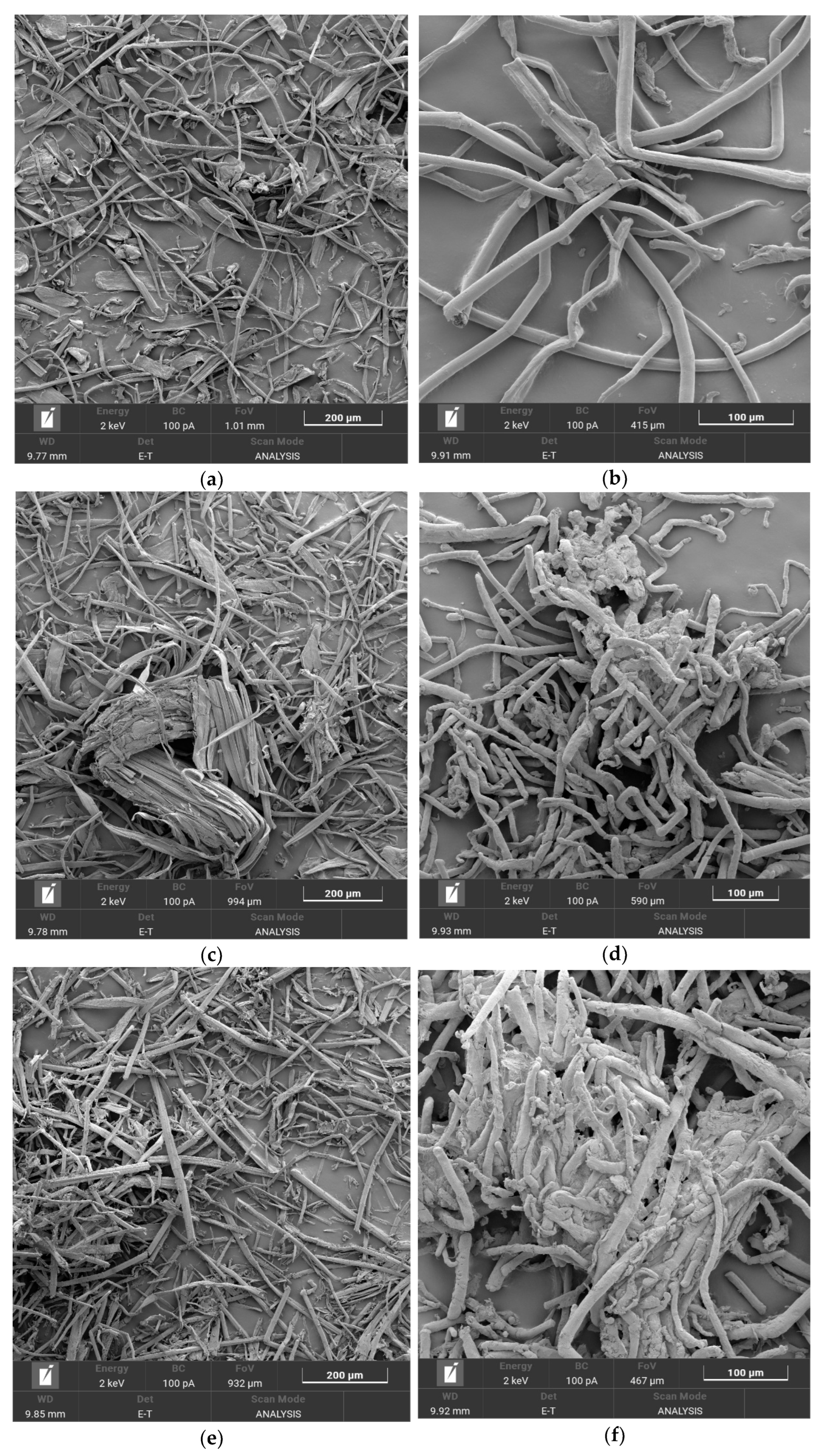 Polymers 16 00042 g001a