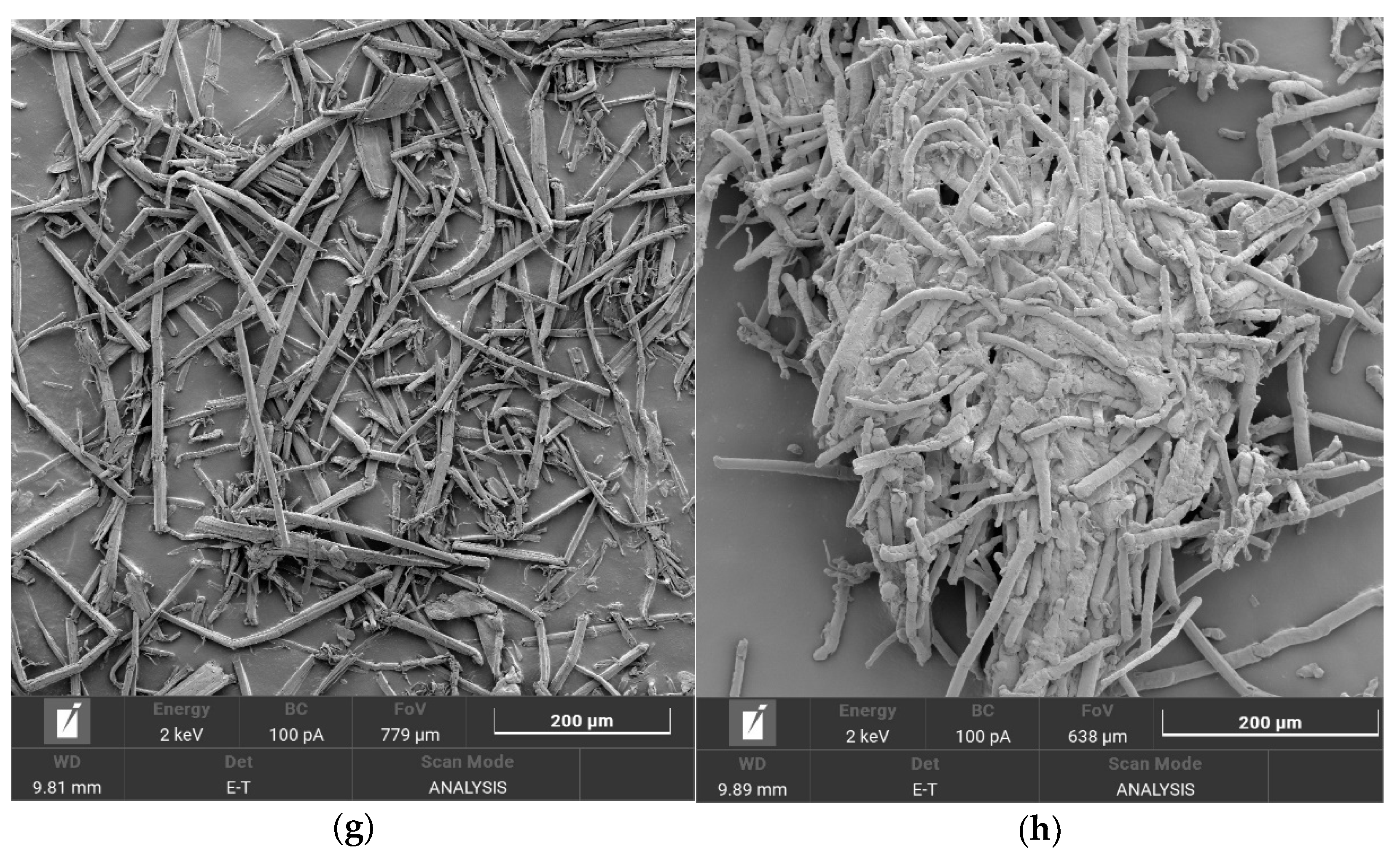 Polymers 16 00042 g001b