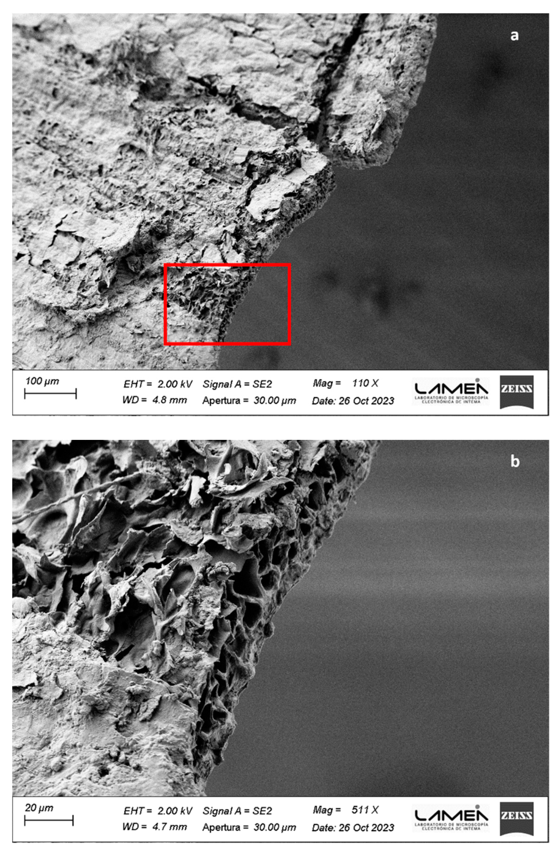 Polymers 16 00059 g001
