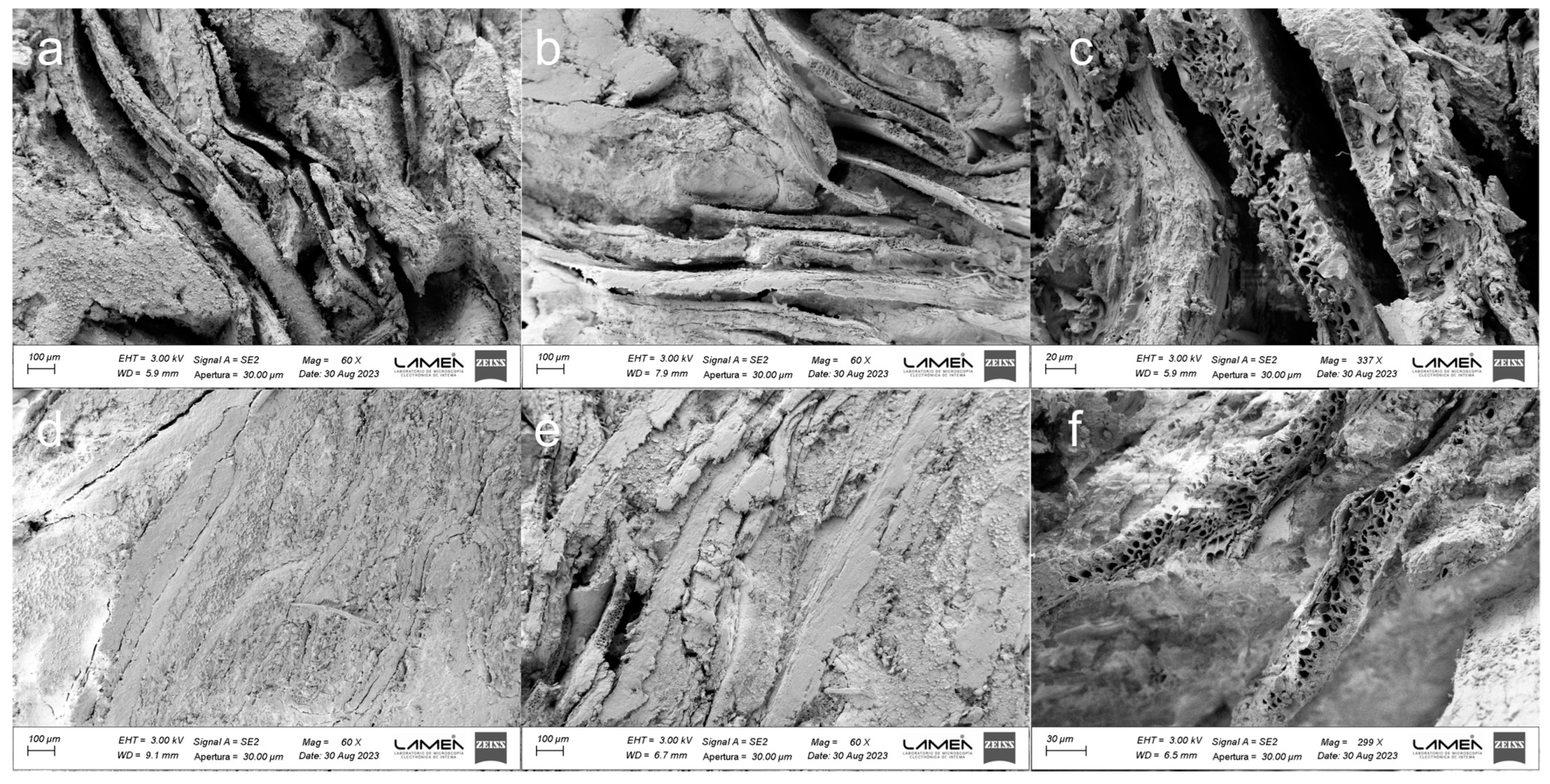 Polymers 16 00059 g004