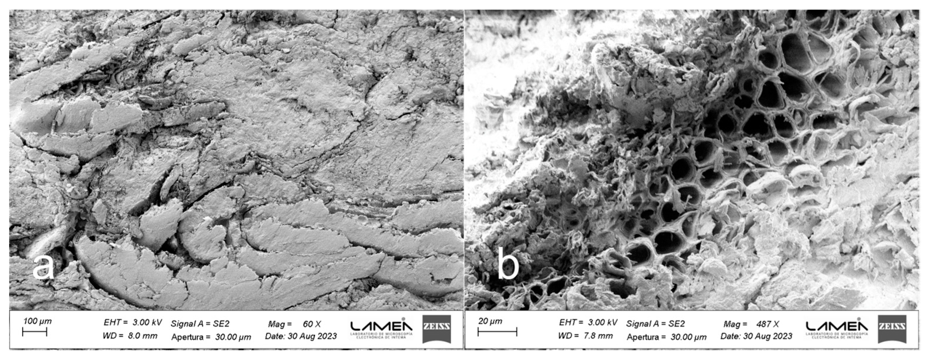 Polymers 16 00059 g005