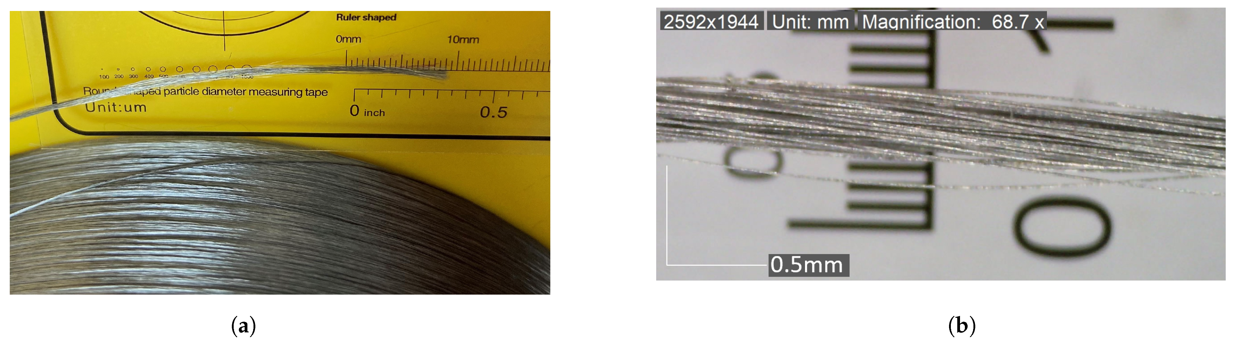 Polymers 16 00063 g001