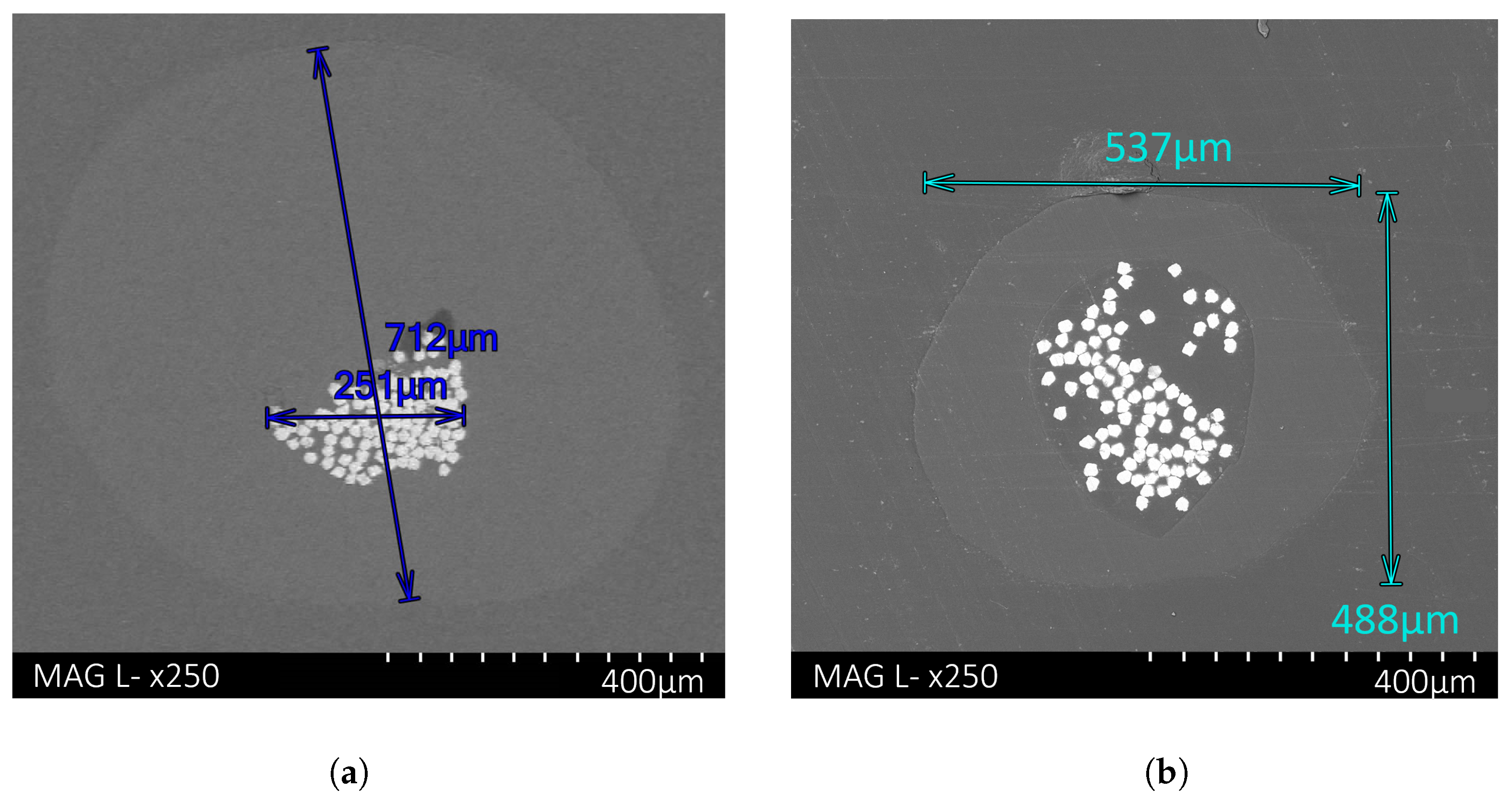 Polymers 16 00063 g005