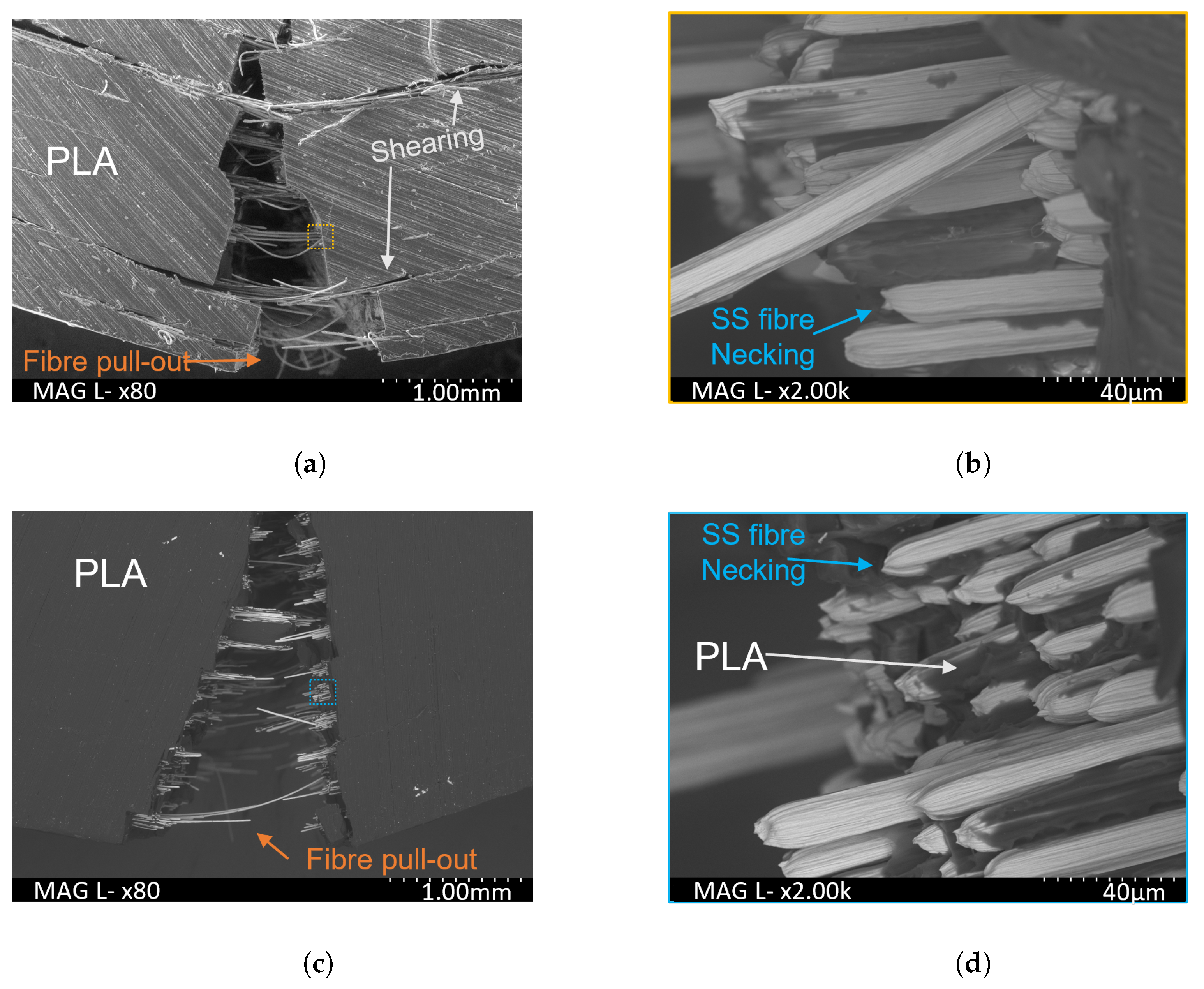 Polymers 16 00063 g010