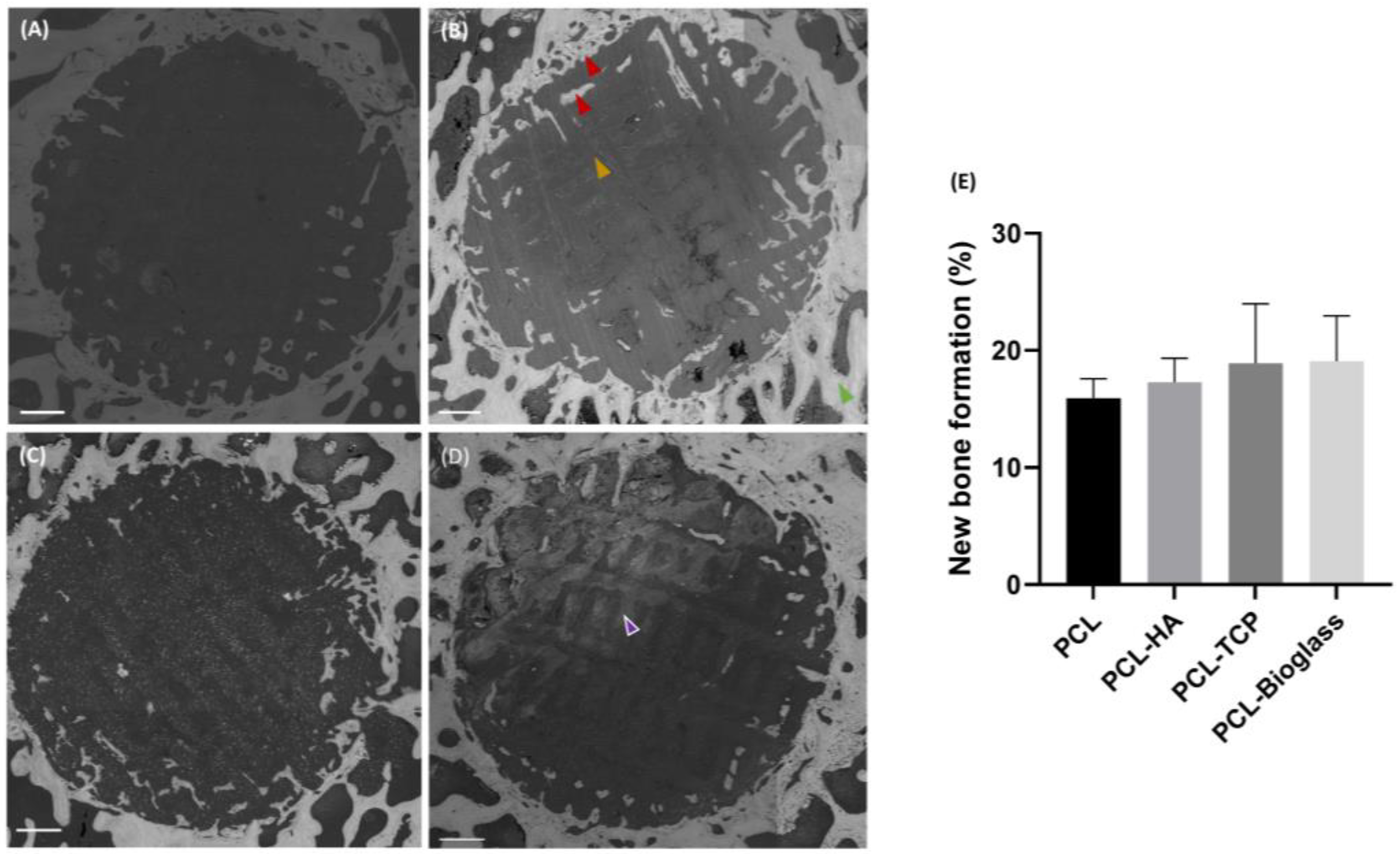 Polymers 16 00066 g004 Polymers 16 00066 g004