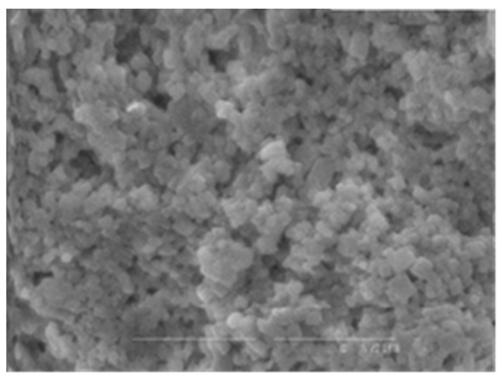 Polymers 16 00069 g001