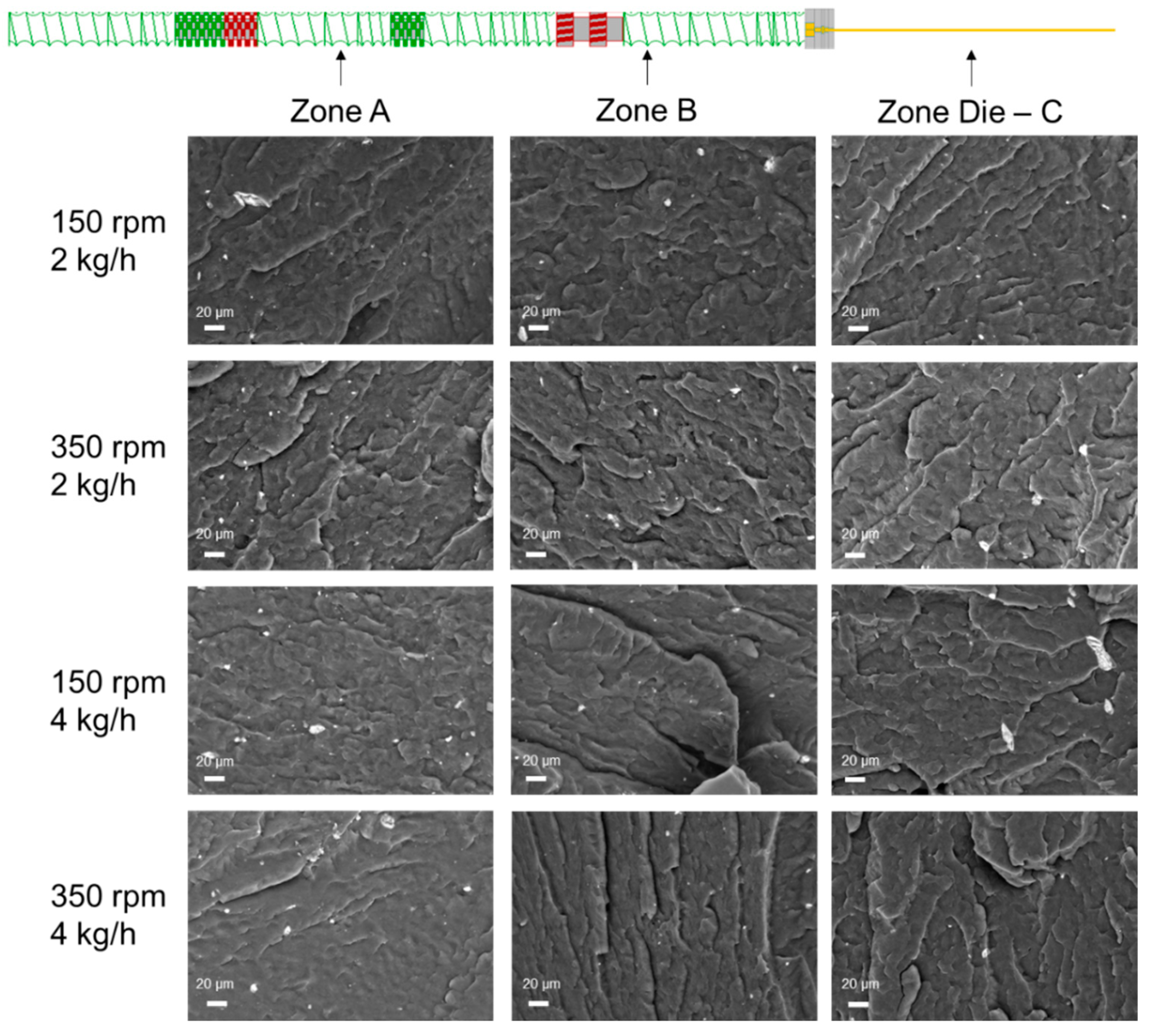 Polymers 16 00070 g006
