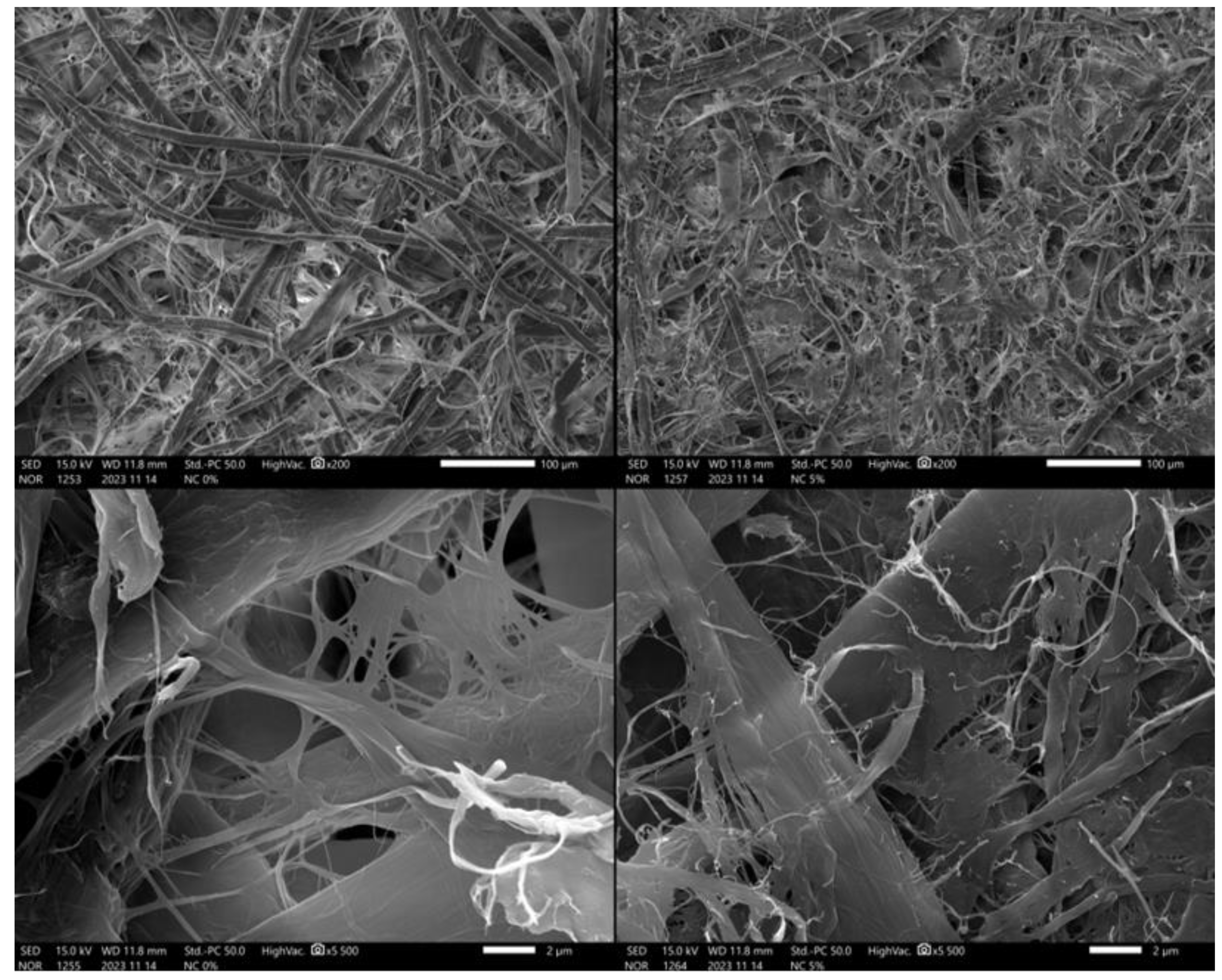 Polymers 16 00073 g004
