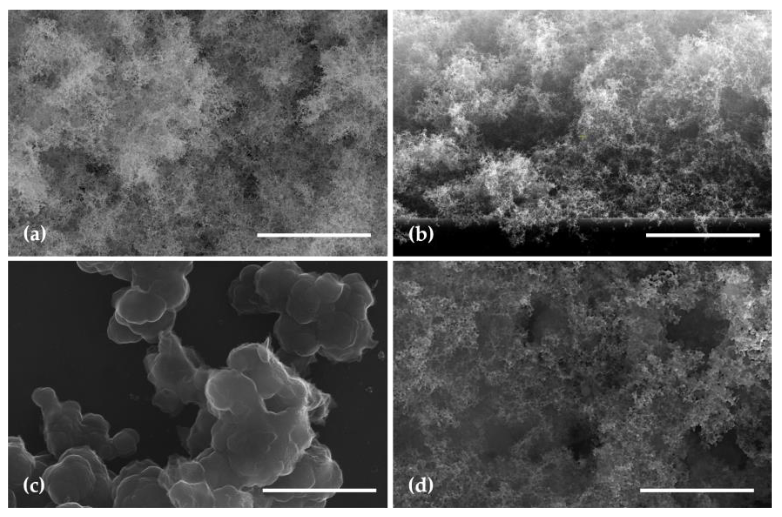 Polymers 16 00079 g005