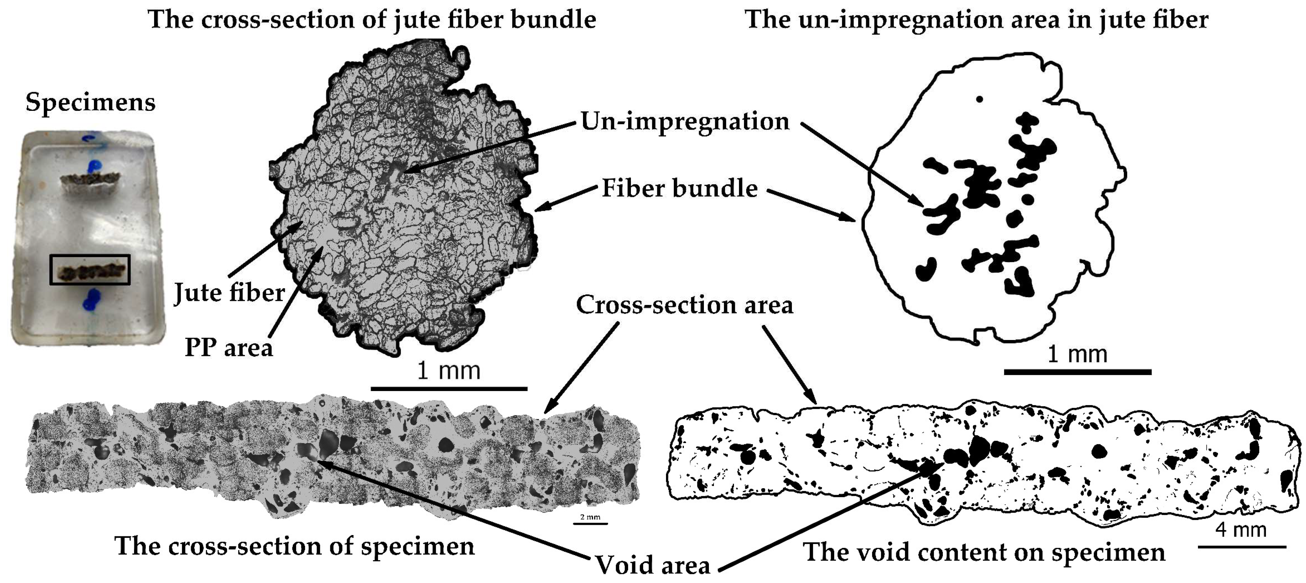 Polymers 16 00083 g005