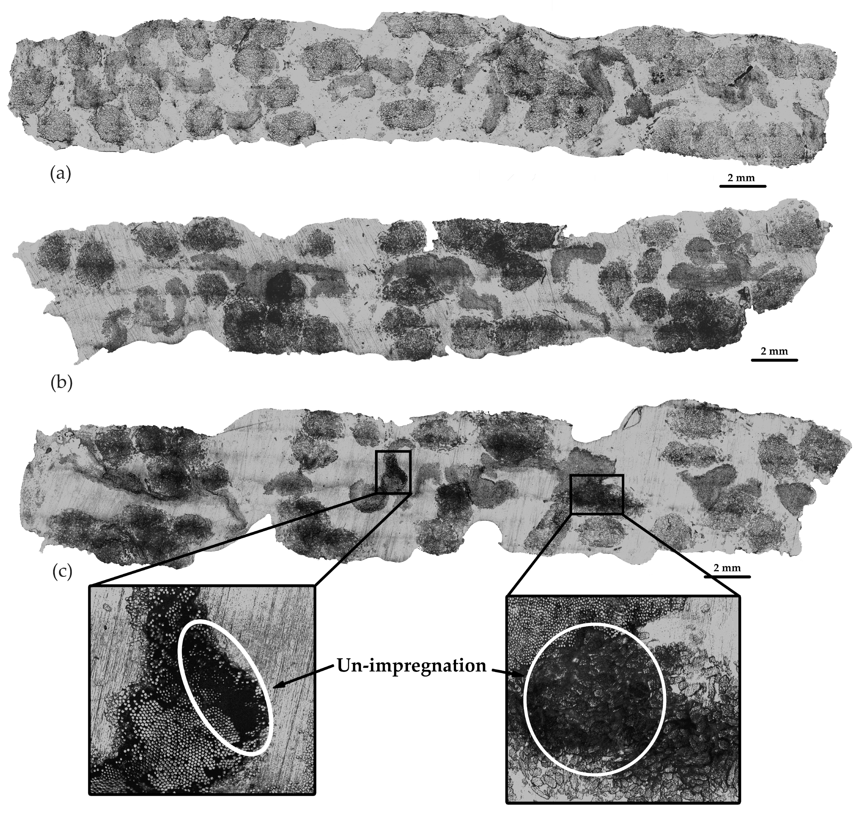 Polymers 16 00083 g012