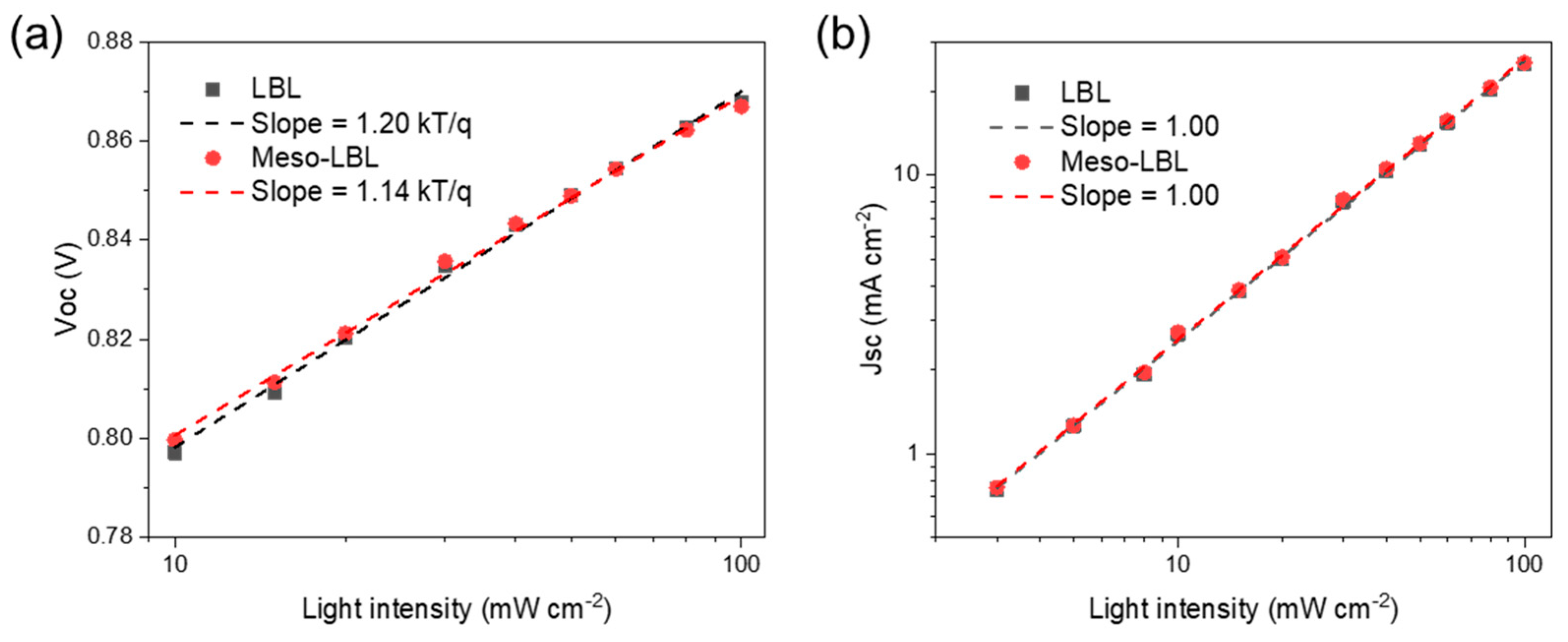 Polymers 16 00091 g008