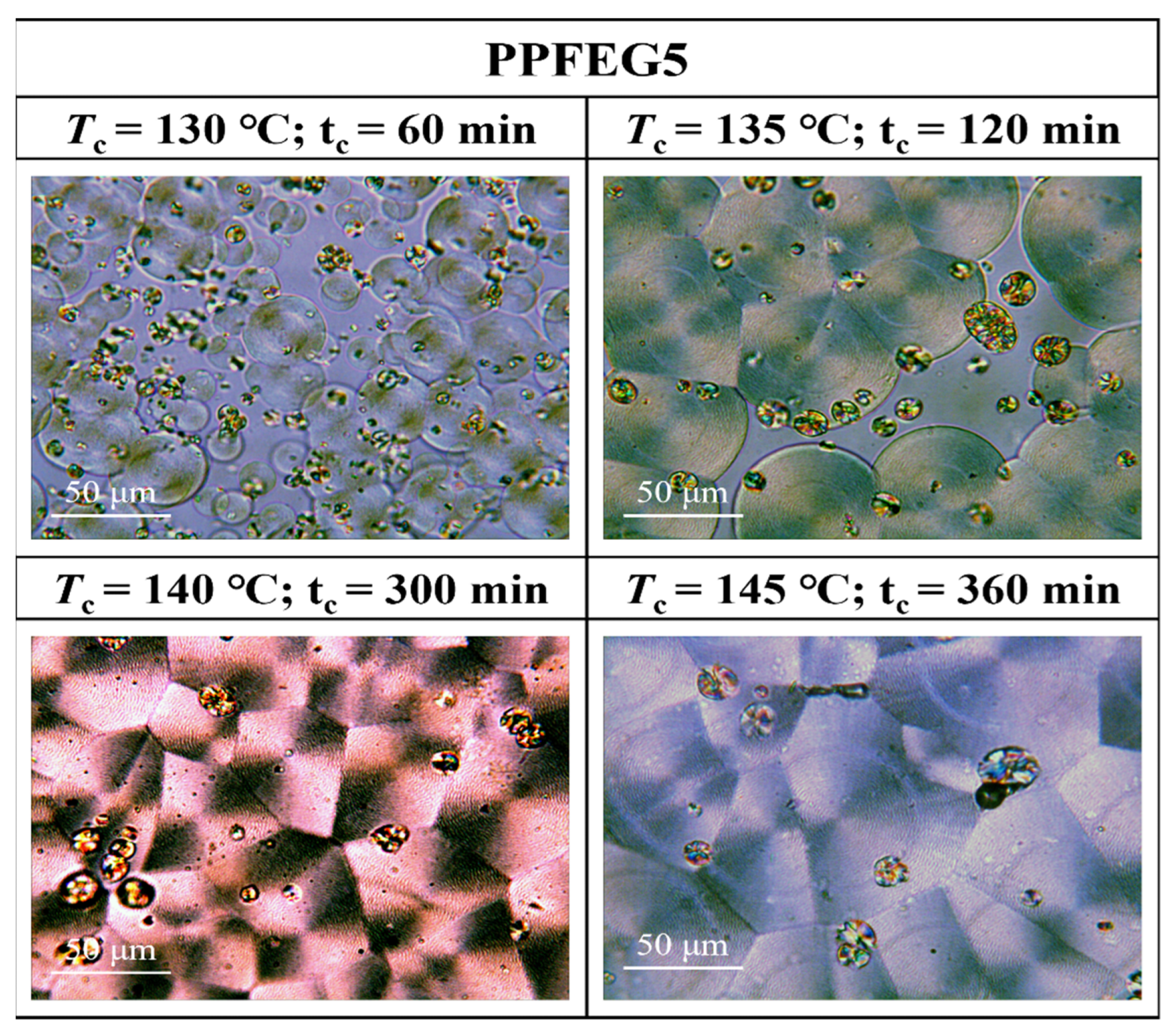 Polymers 16 00097 g008