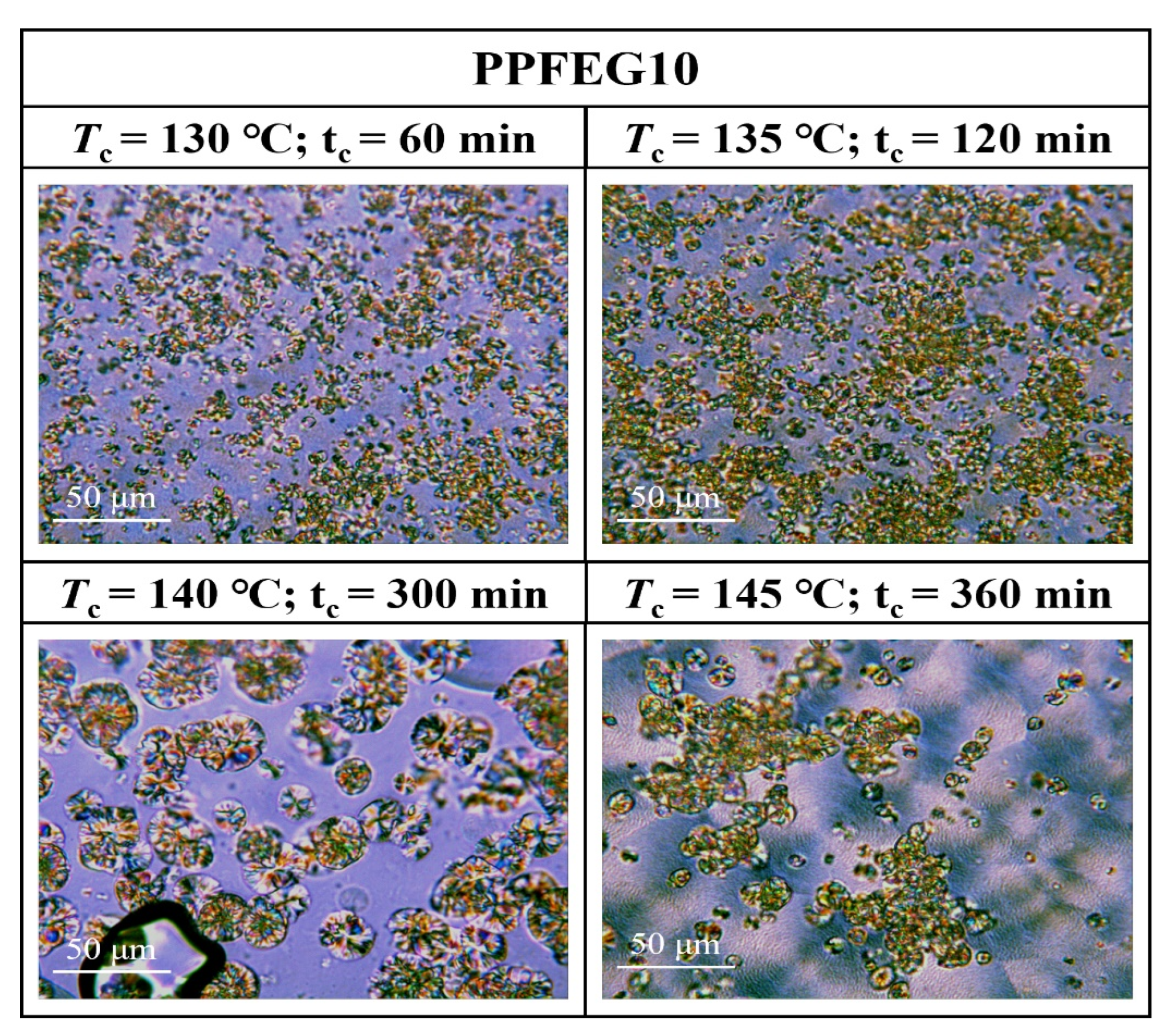 Polymers 16 00097 g009