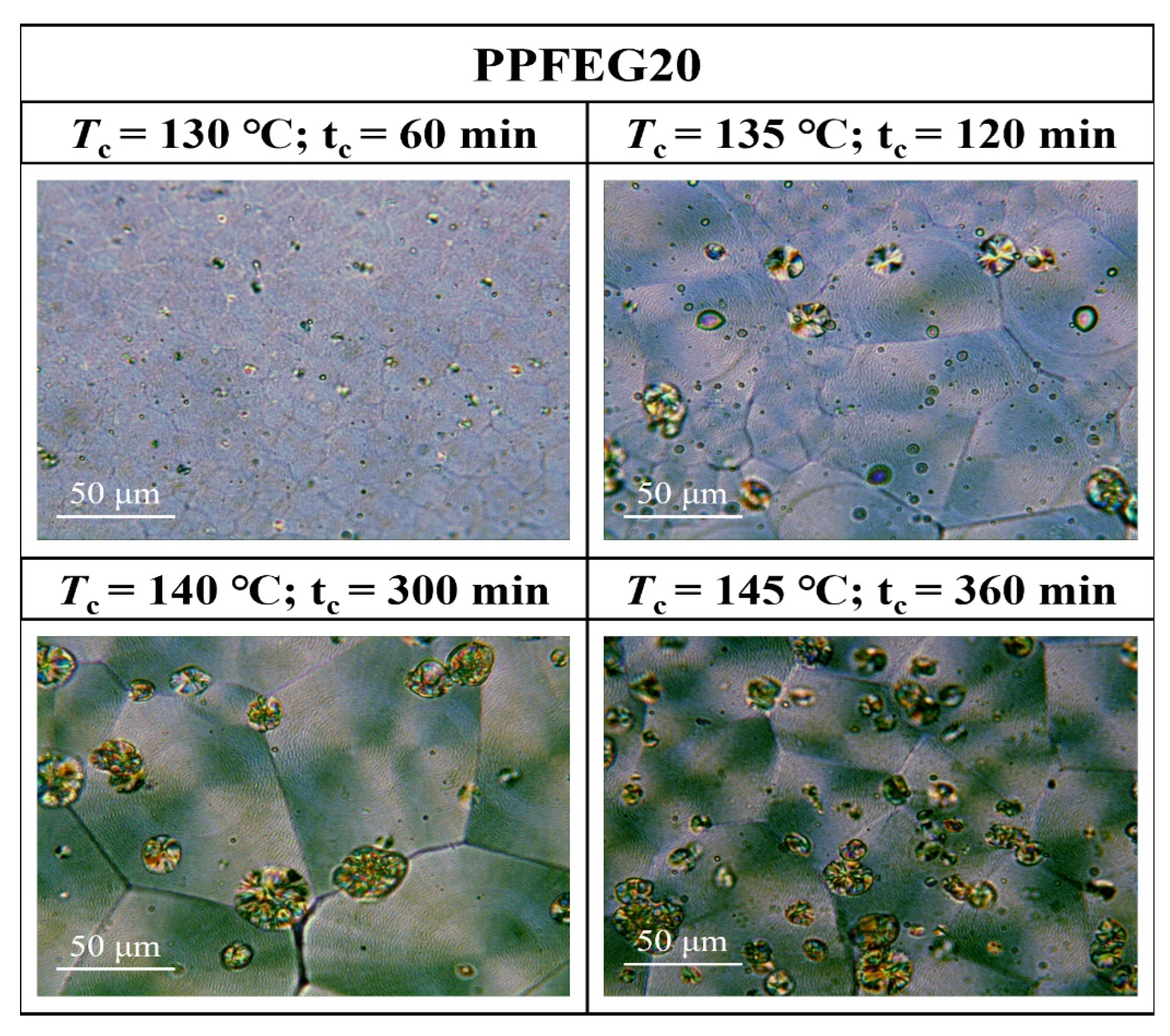 Polymers 16 00097 g010