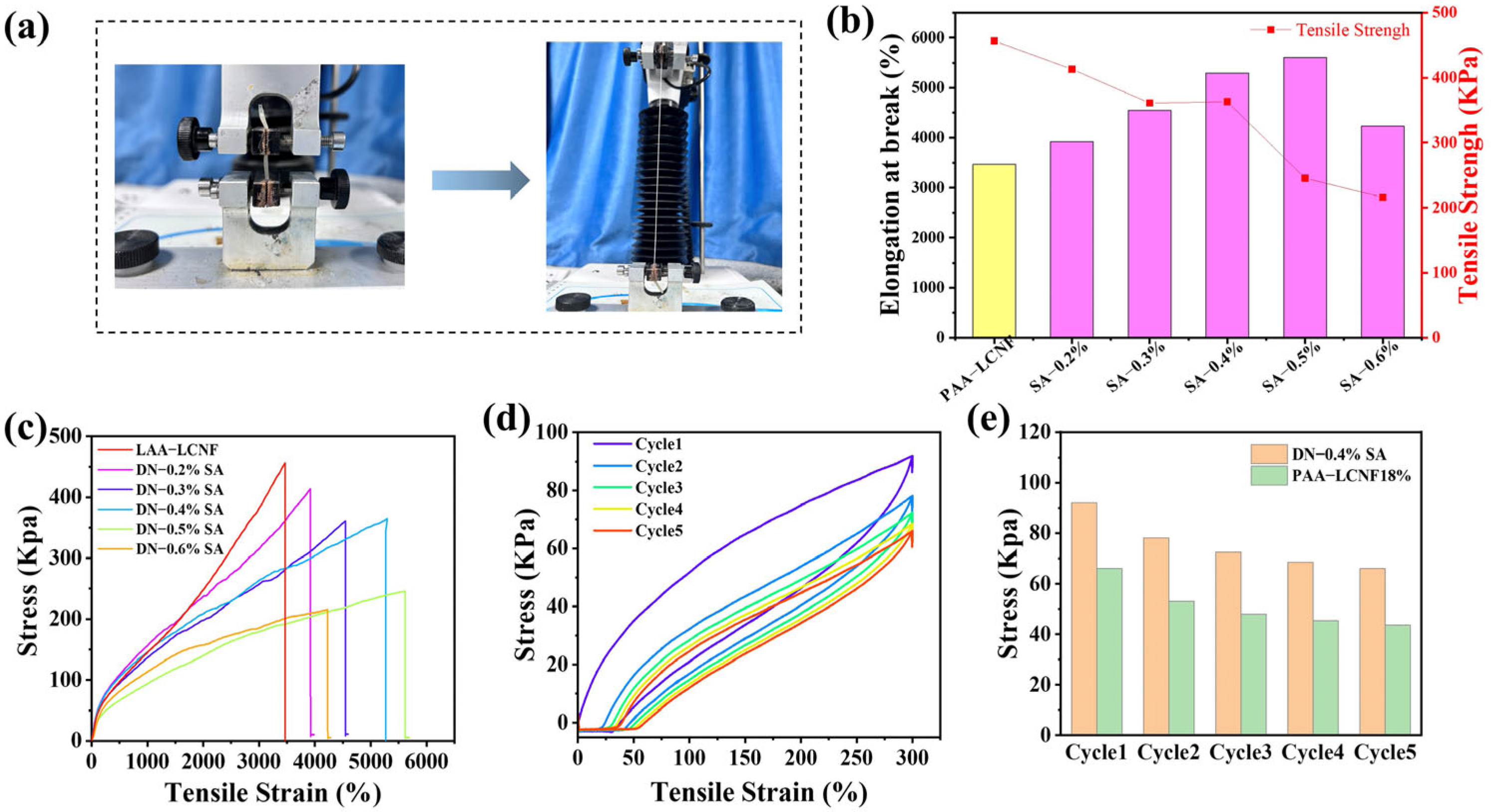 Polymers 16 00102 g005