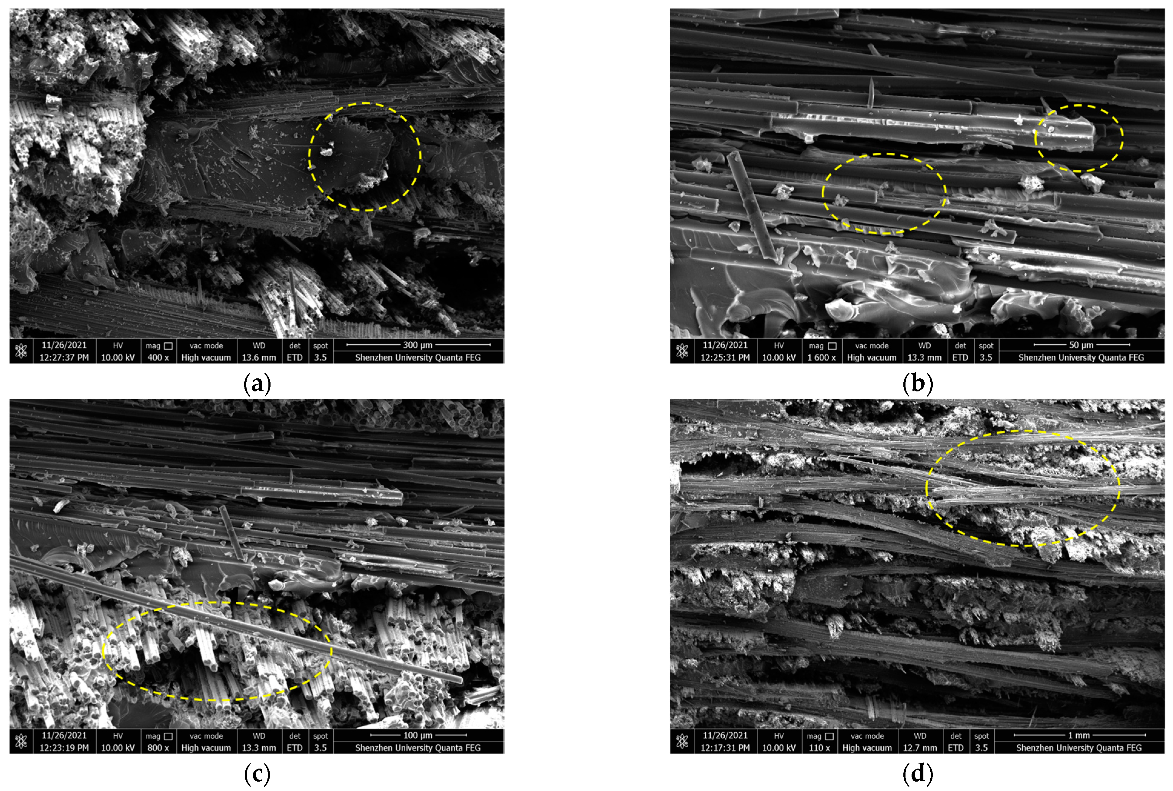 Polymers 16 00108 g010