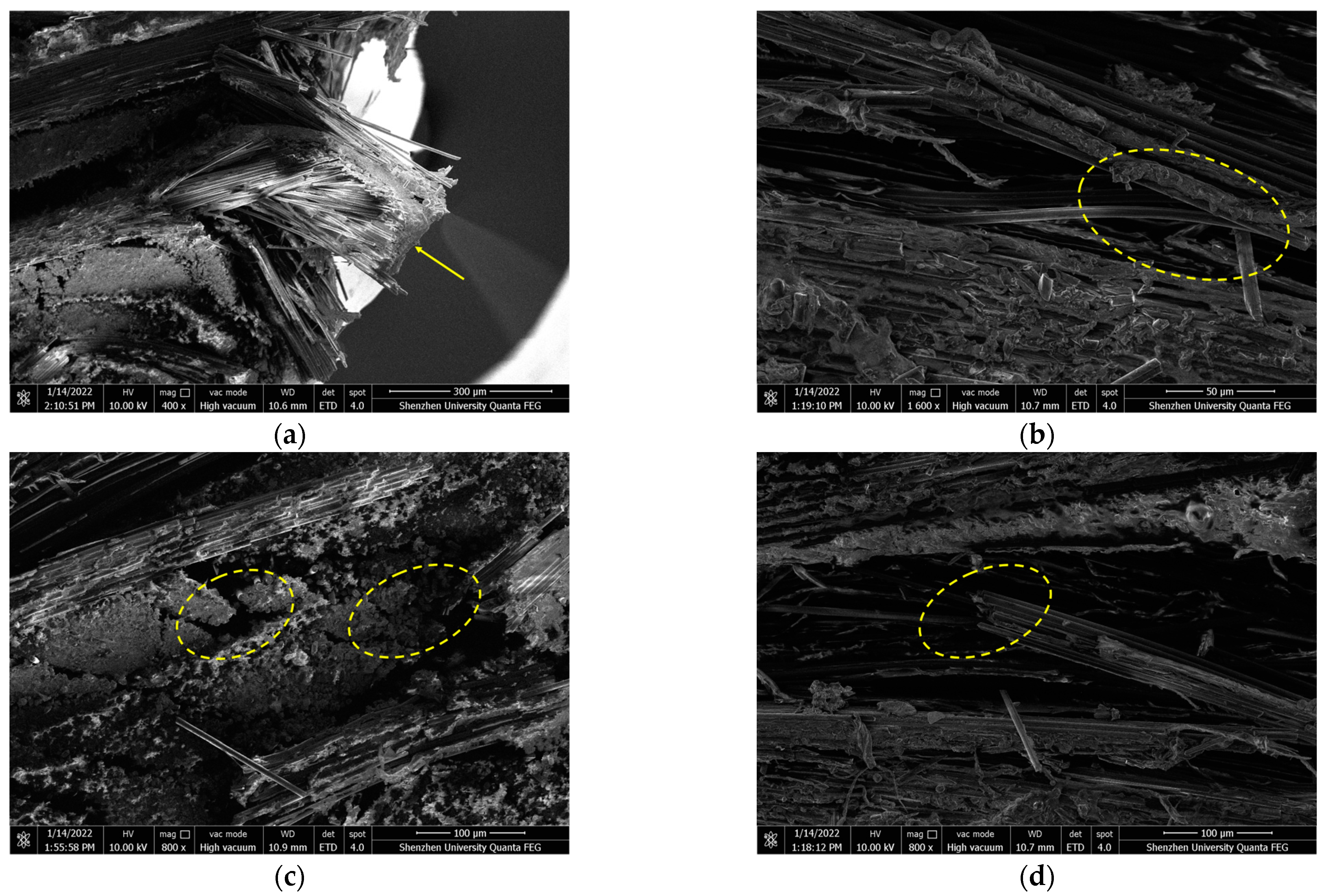 Polymers 16 00108 g013