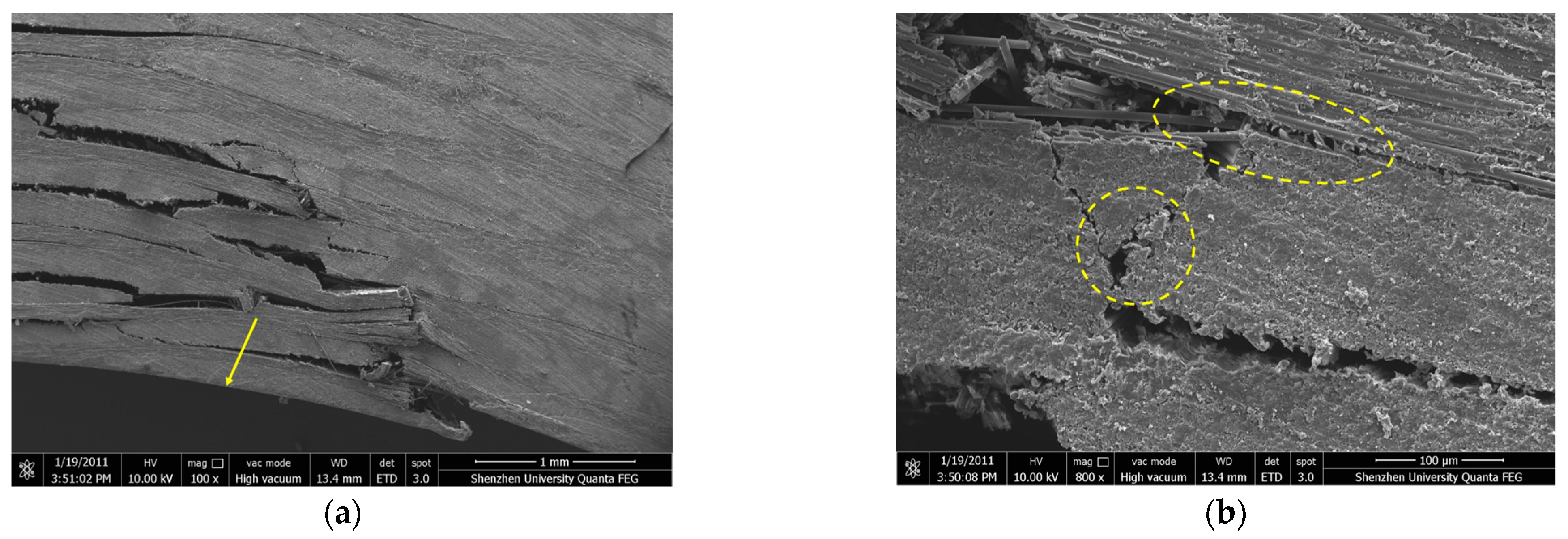 Polymers 16 00108 g016a