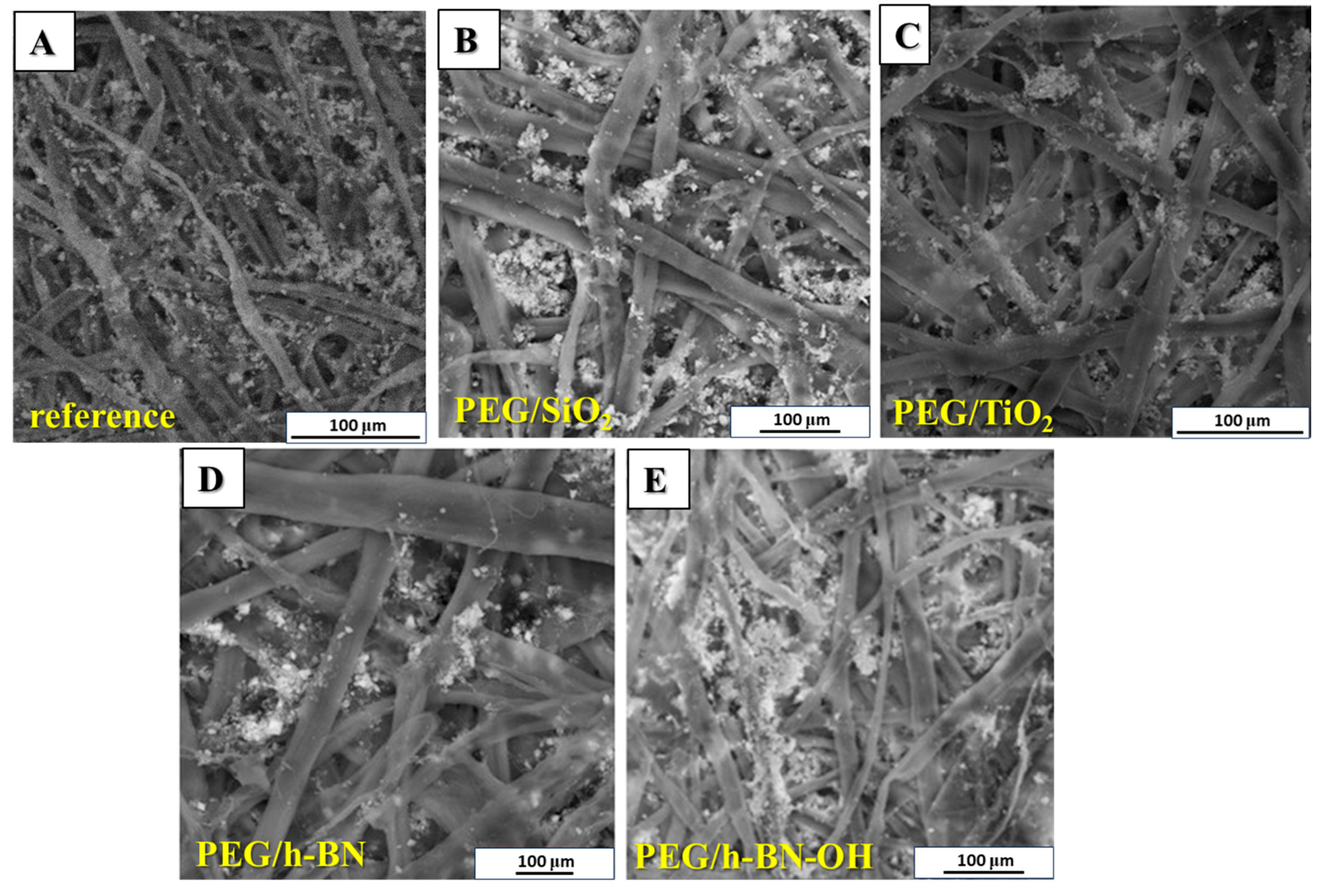 Polymers 16 00110 g004
