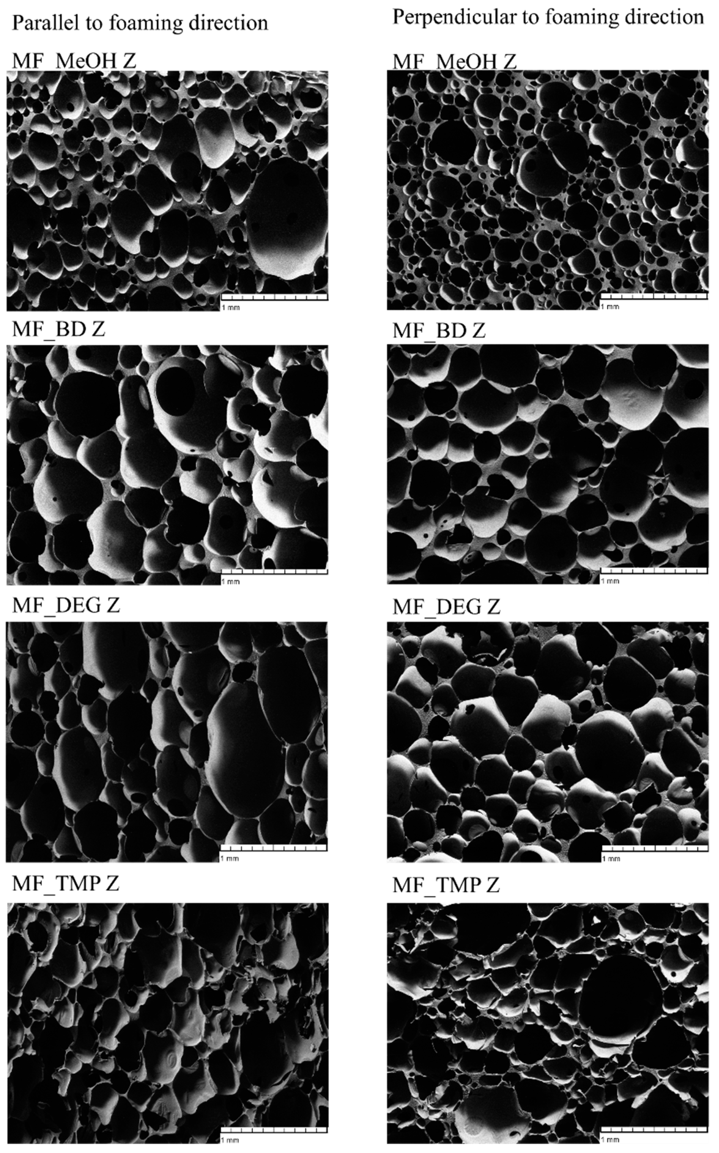 Polymers 16 00117 g006