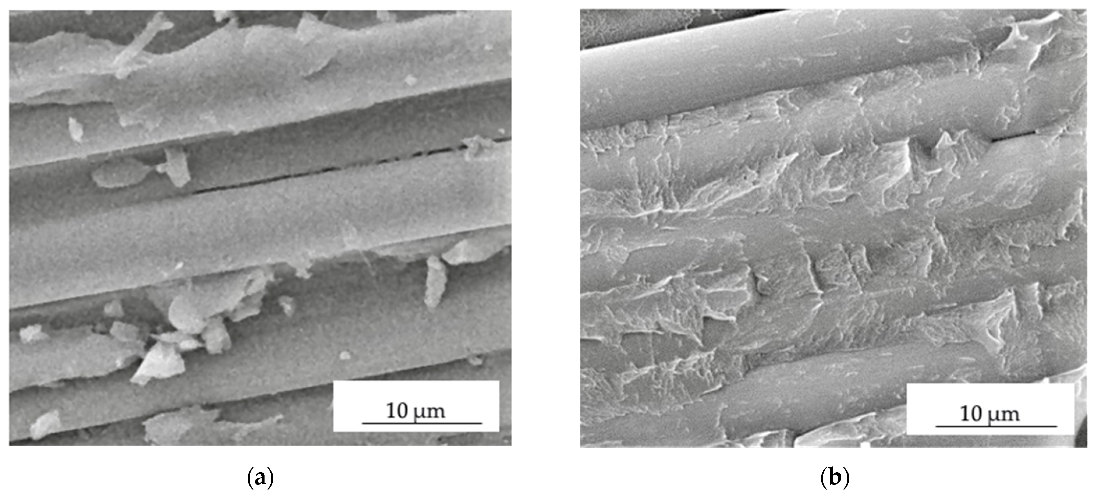 Polymers 16 00121 g005