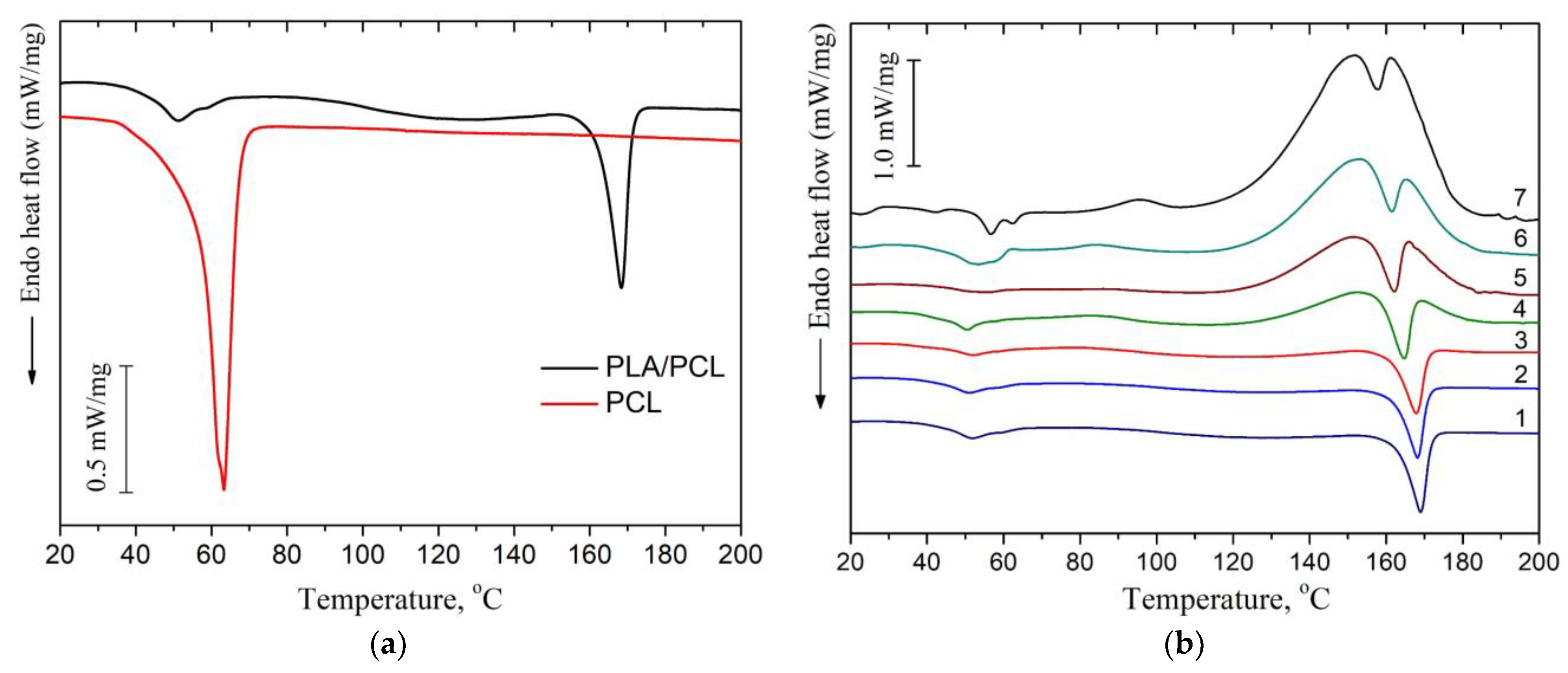 Polymers 16 00128 g004