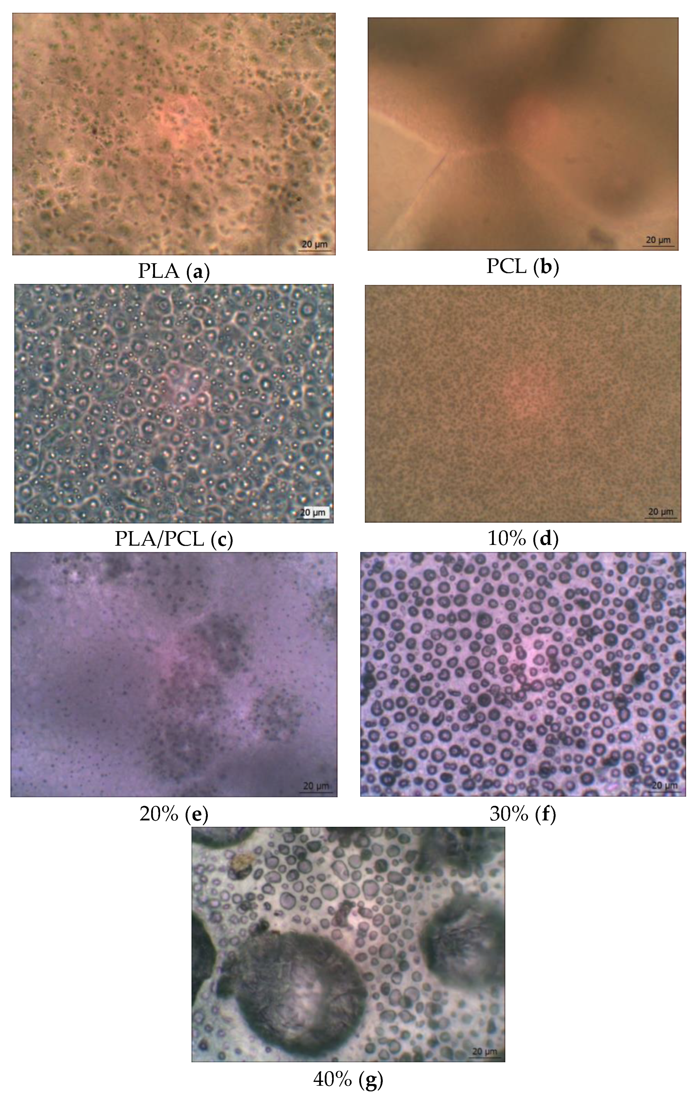 Polymers 16 00128 g008