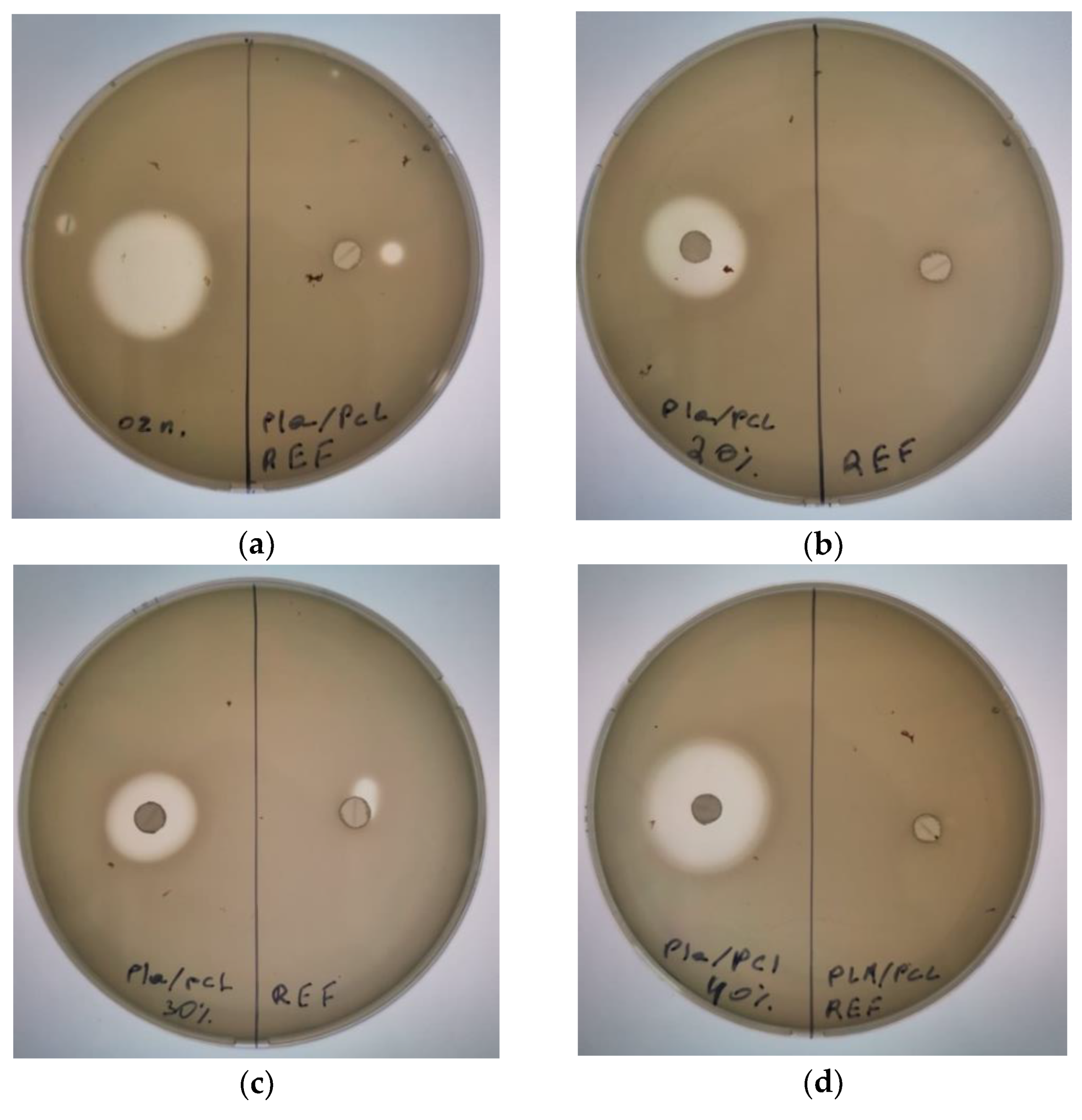 Polymers 16 00128 g011