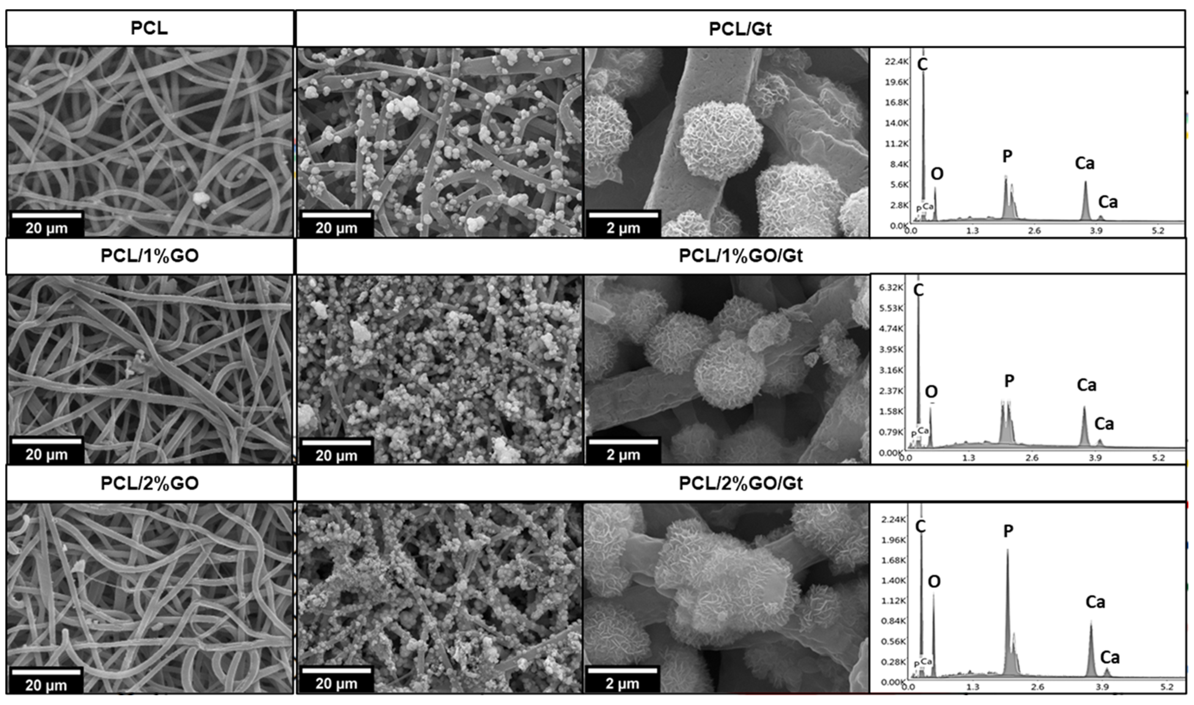 Polymers 16 00129 g012