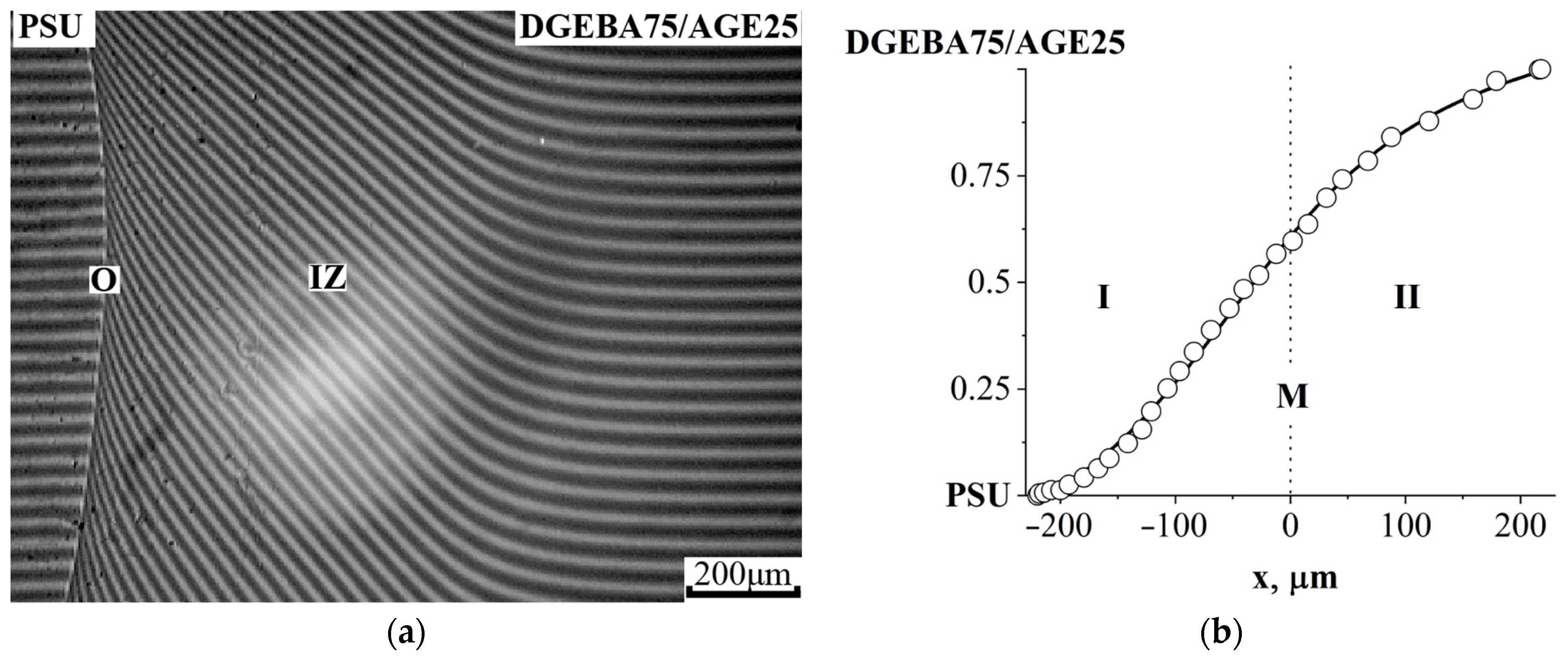 Polymers 16 00130 g010