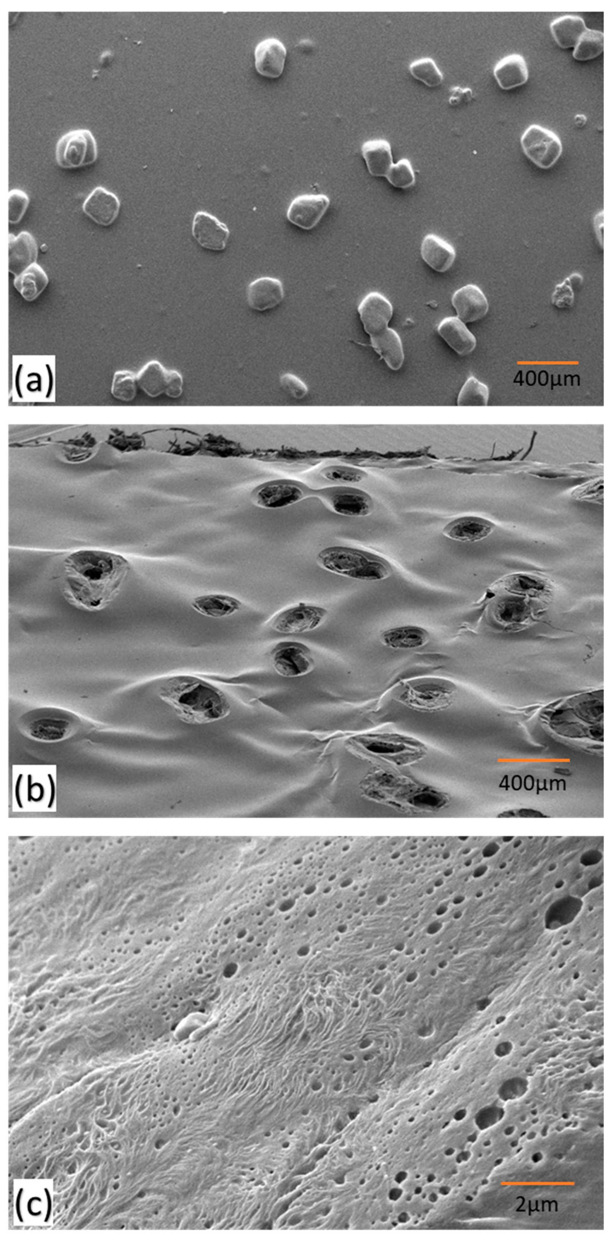Polymers 16 00135 g004 Polymers 16 00135 g004